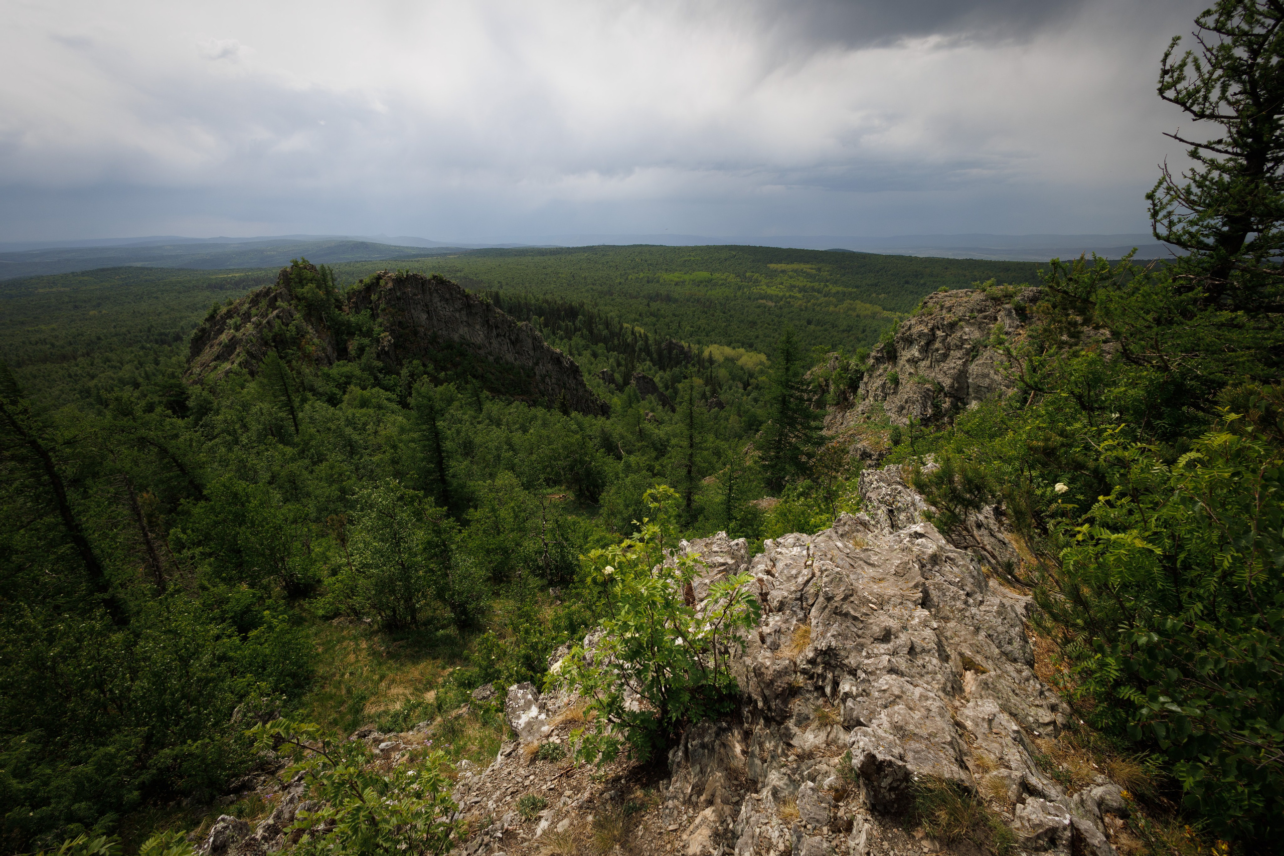 Курташ, Нурали. Александр Абдураманов