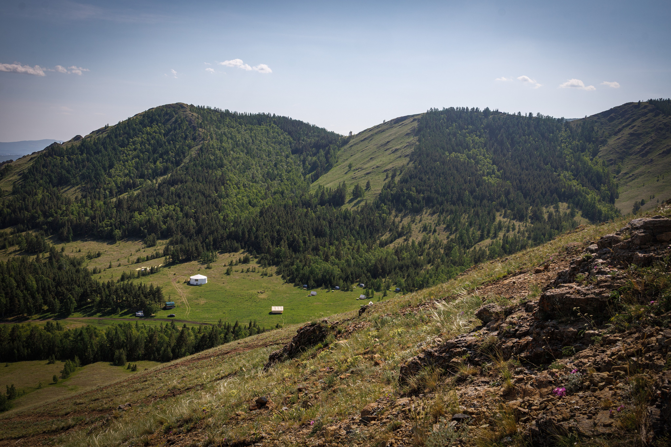 Курташ, Нурали. Александр Абдураманов