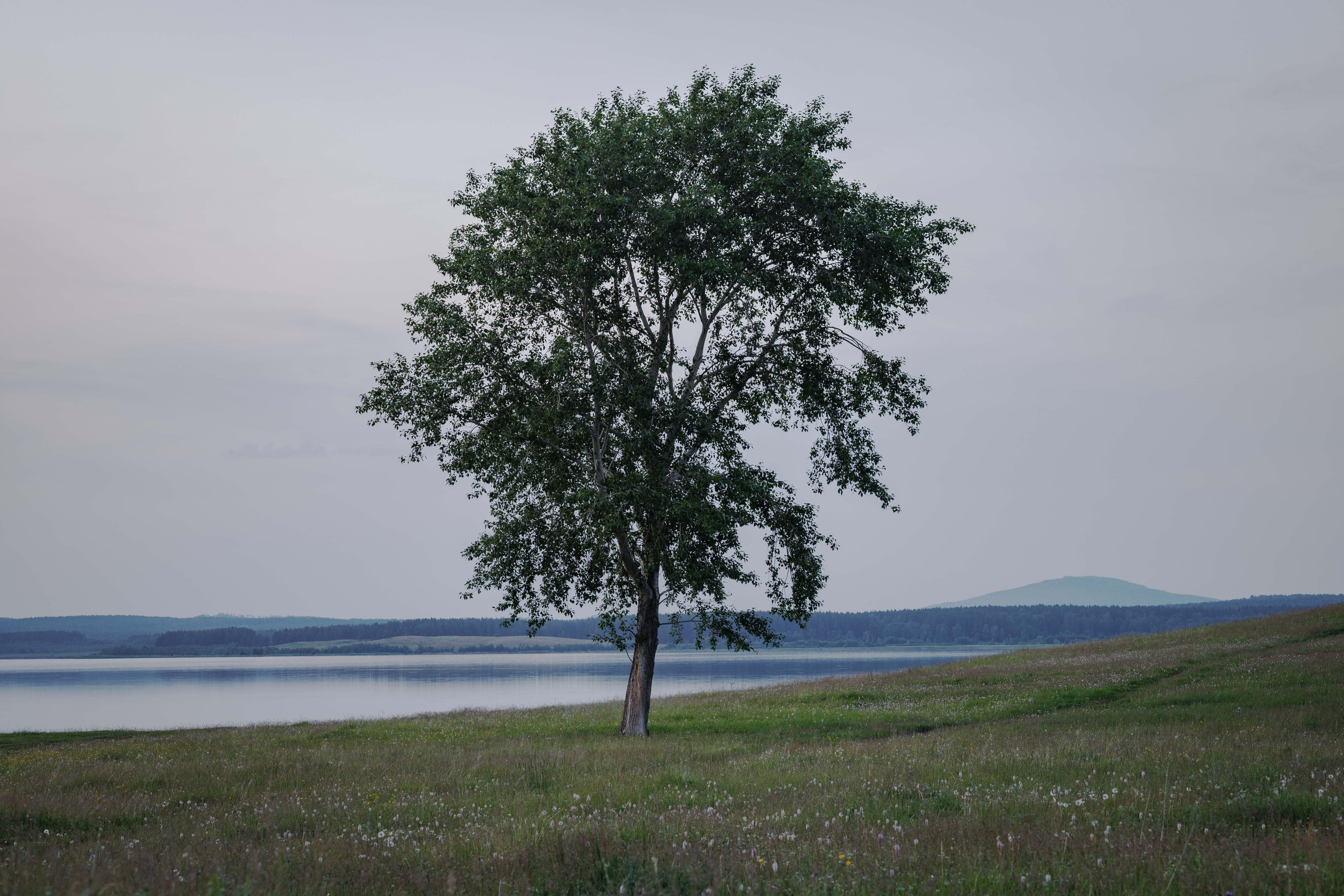 Калкан. Александр Абдураманов