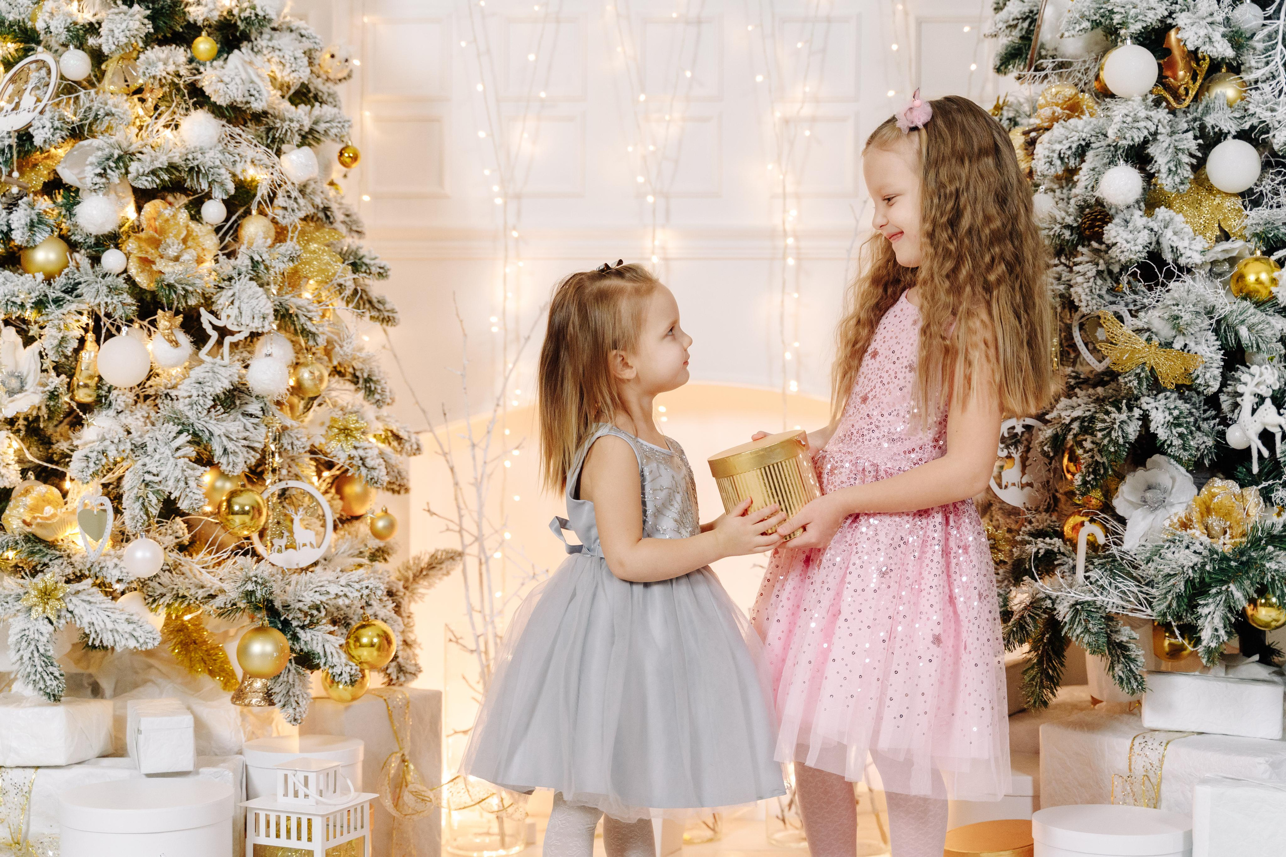 Новогоднее портфолио. Свадебный и семейный фотограф в Серпухове и Москве Павел Воробьев