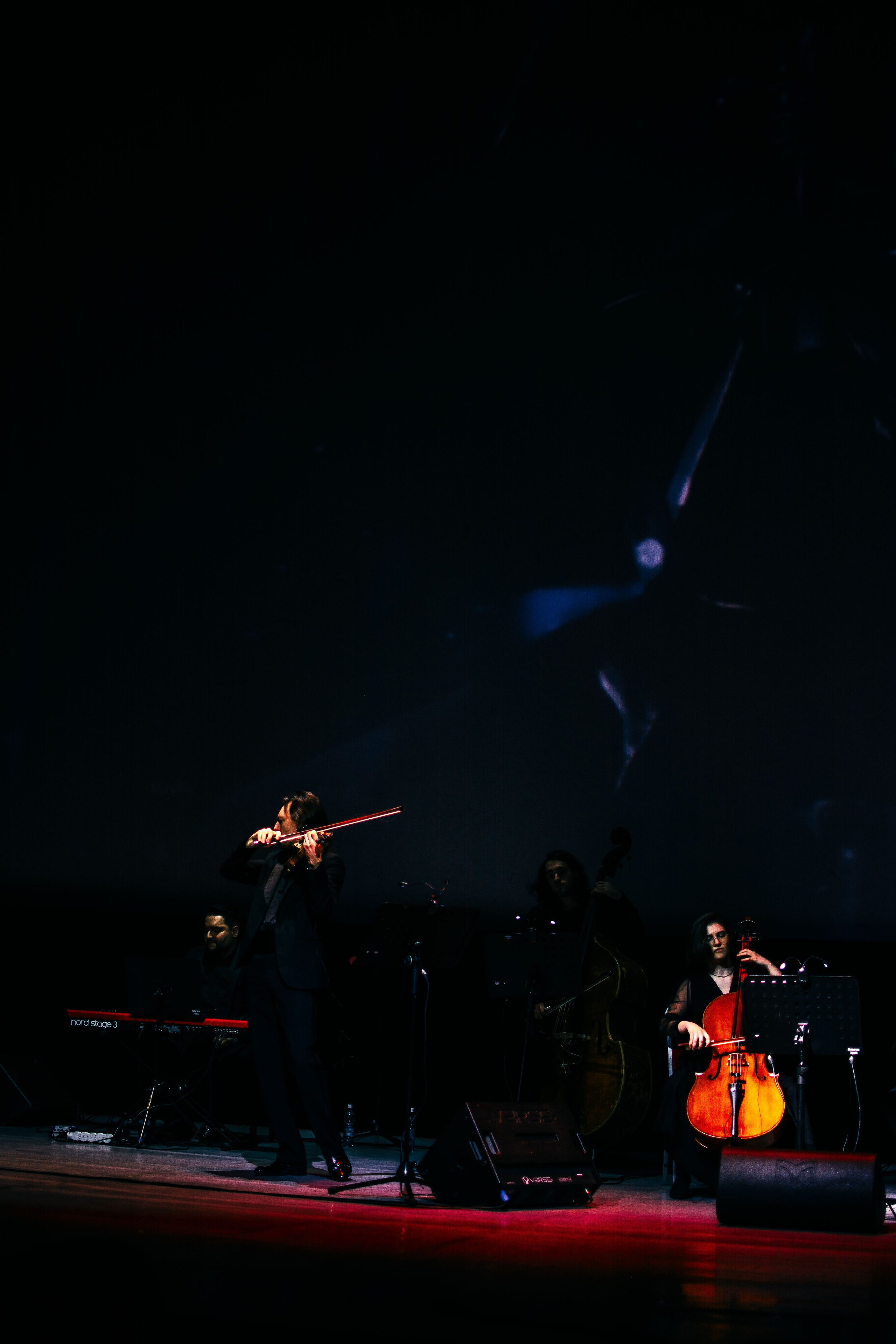 Концерт оркестра Cinematica. Репортажный фотограф в Новосибирске