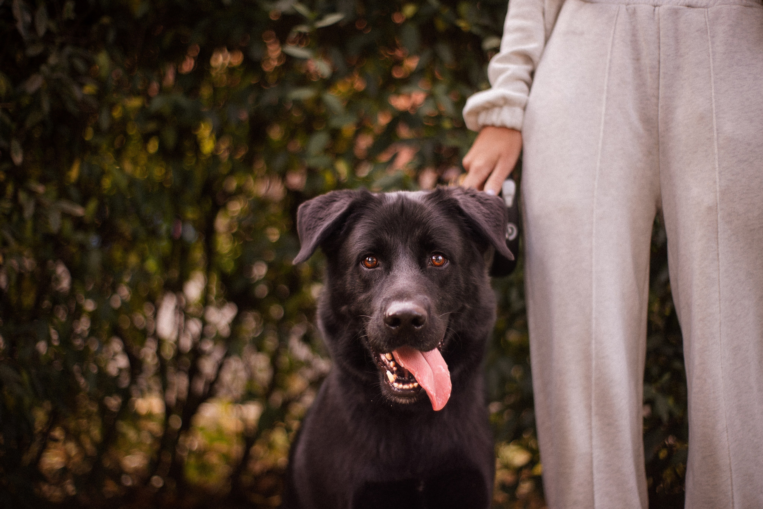 Анна и Лаки. Фотограф-анималист Мария Баркевич | Москва
