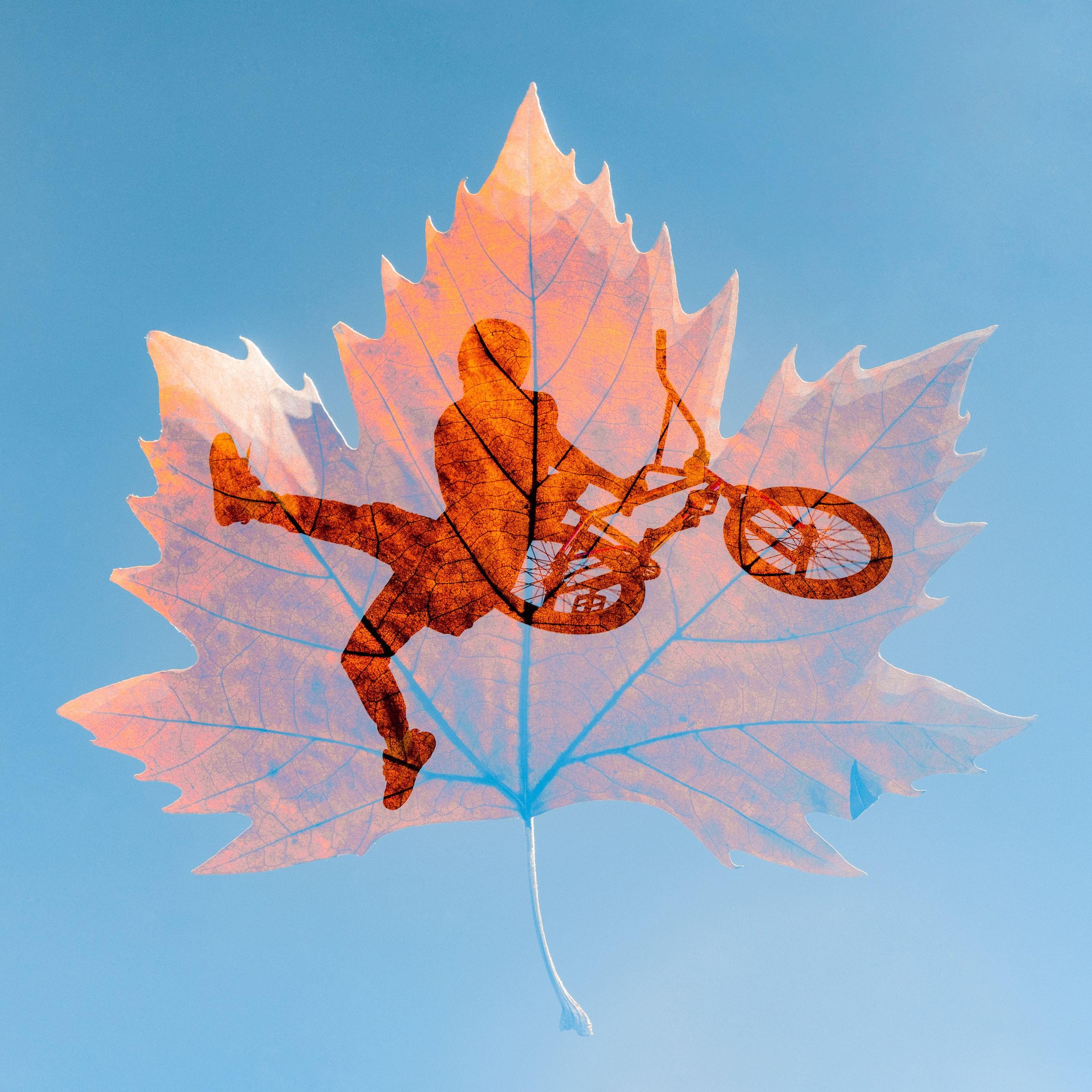 Action Sports. Alexey Shabanov photography