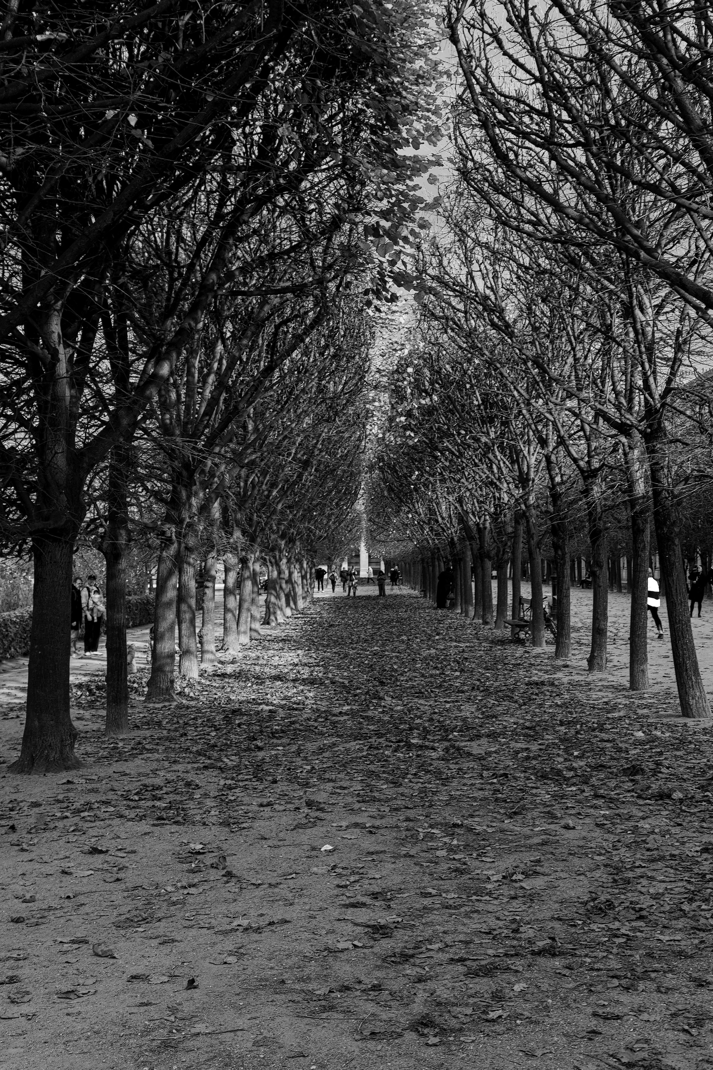 PARIS (project in progress). Art Рhotographer Russia/Moscow