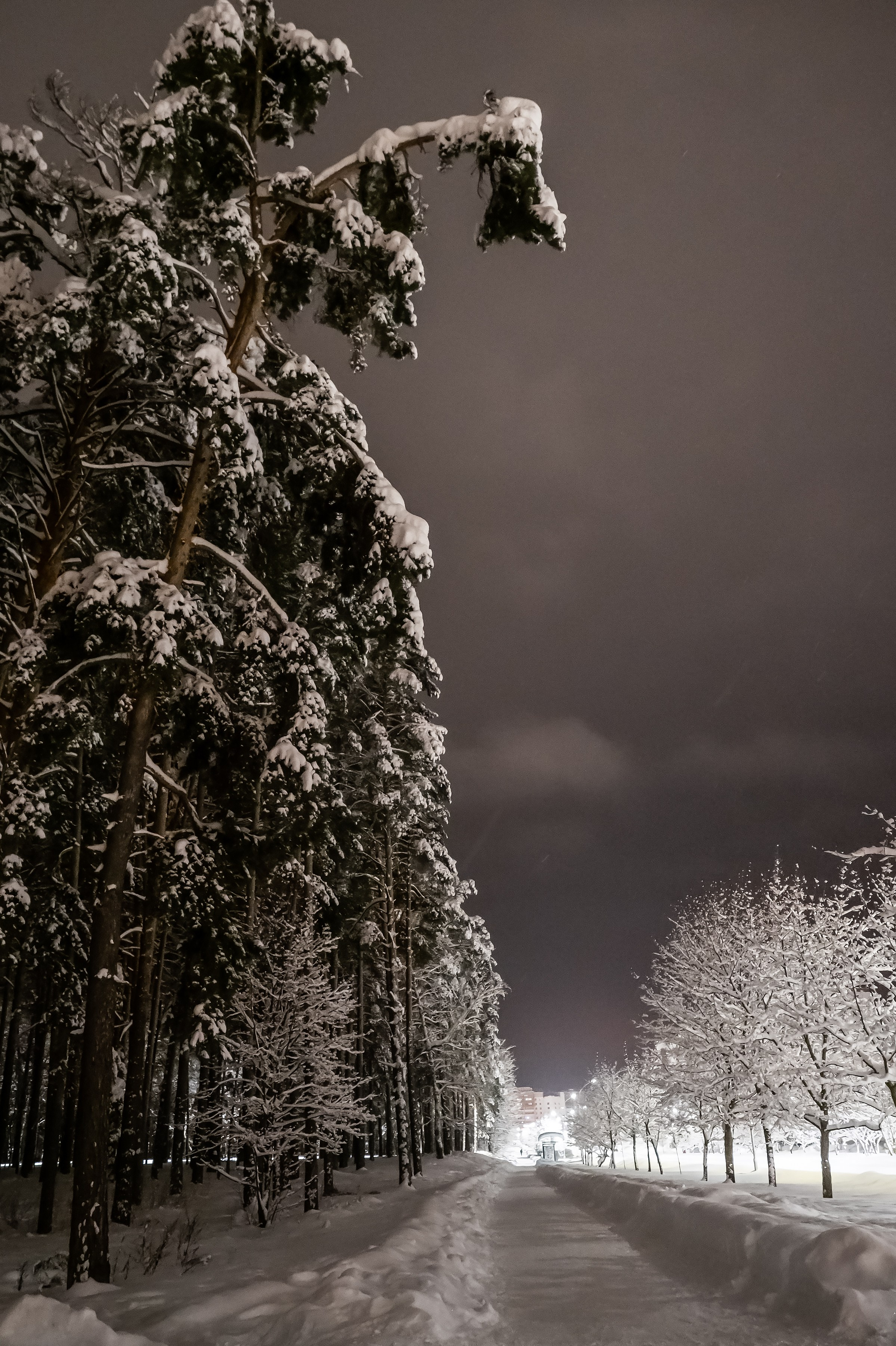 Красота Заречного. Репортажный, семейный и детский фотограф в Пензе и Заречном Арина Ермилова. Картины барельеф на заказ