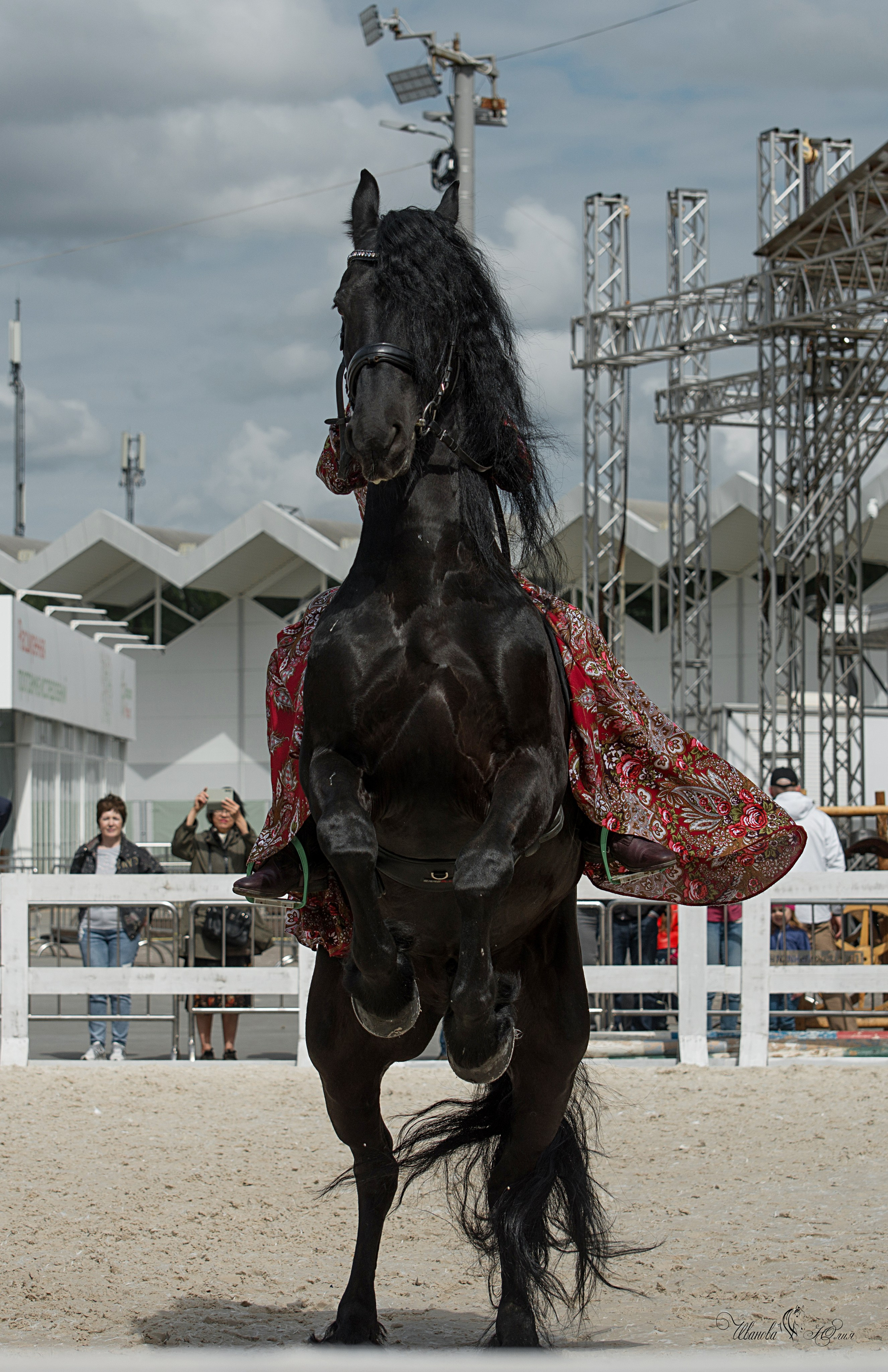 Эквирос, Москва. Конный фотограф в Саратове Юлия Иванова