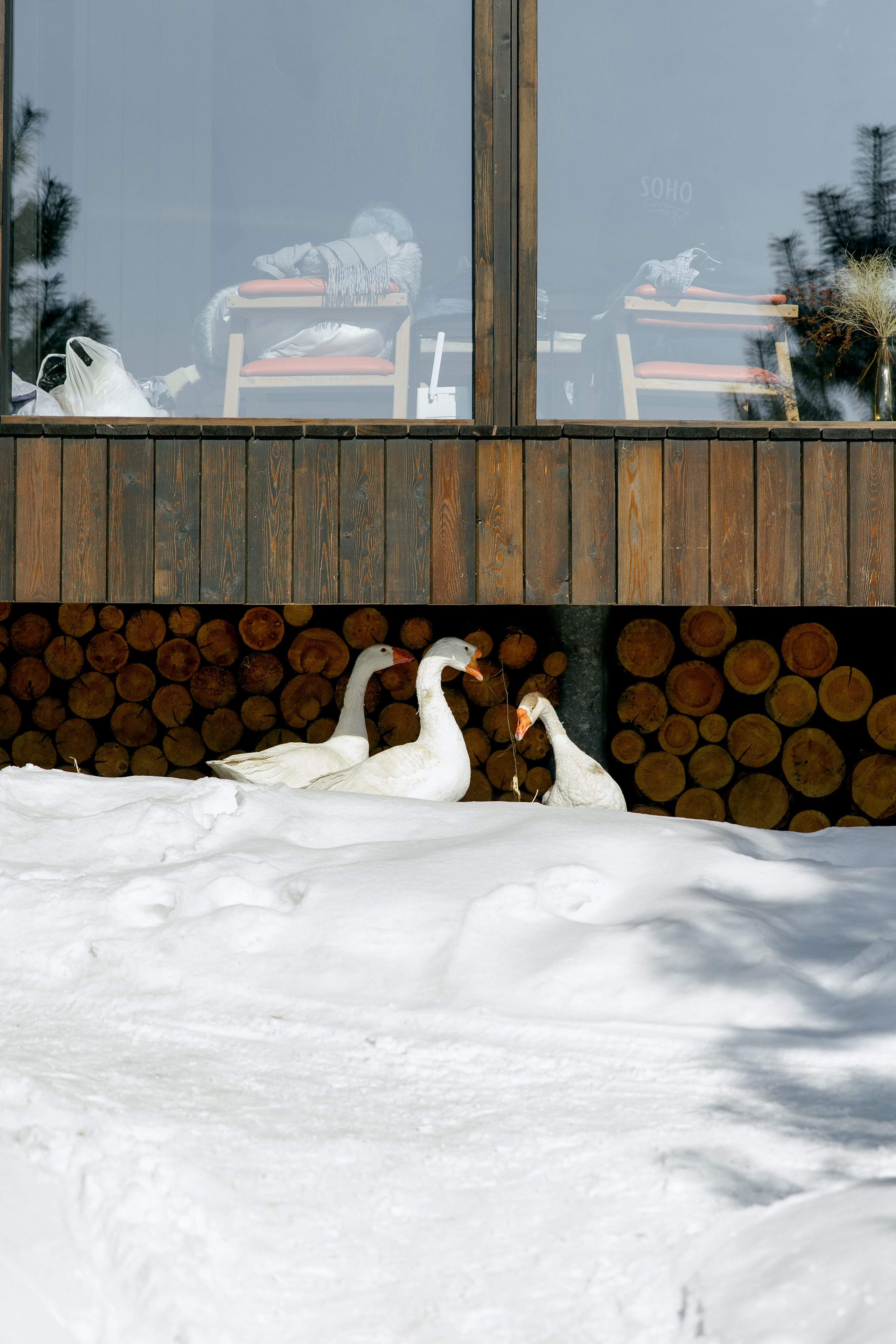 ДЕНЬ ДОЖДЕНИЯ ЕКАТЕРИНЫ. Фотограф в Красноярске