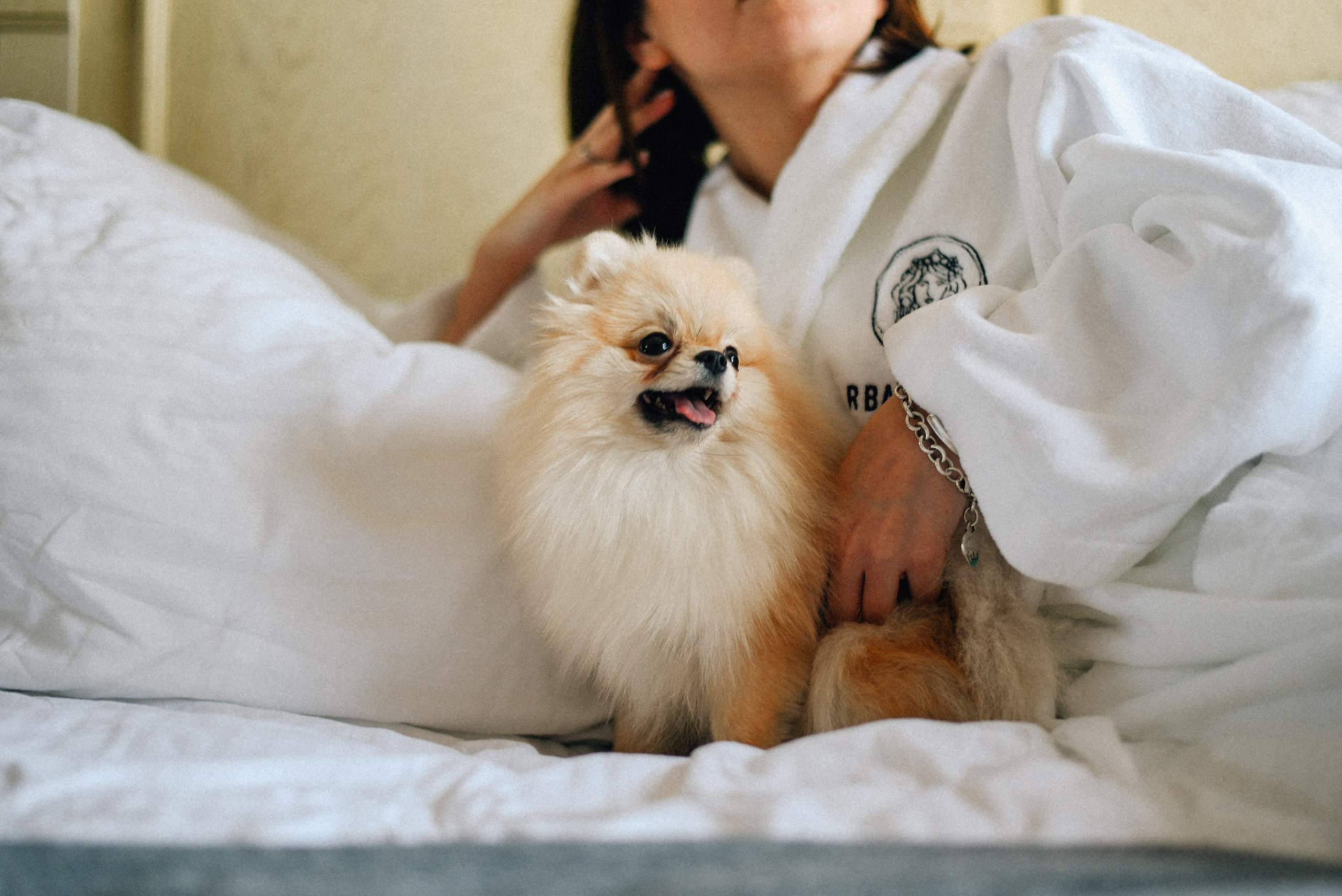 ARBAT HOUSE HOTEL. Фотограф Лола Волна, город Москва