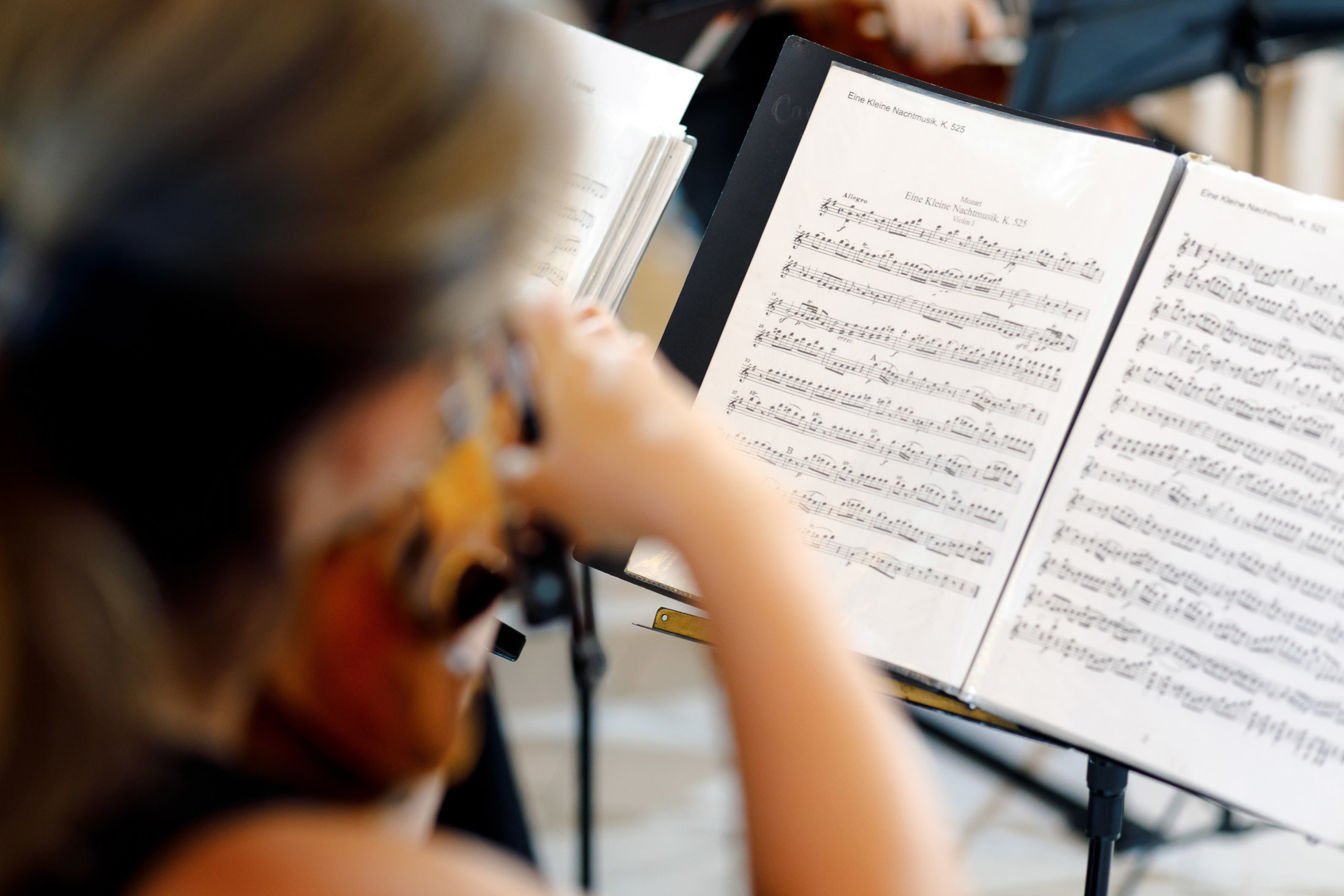 Егор и Елизавета. Свадебный фотограф Михаил Симонов