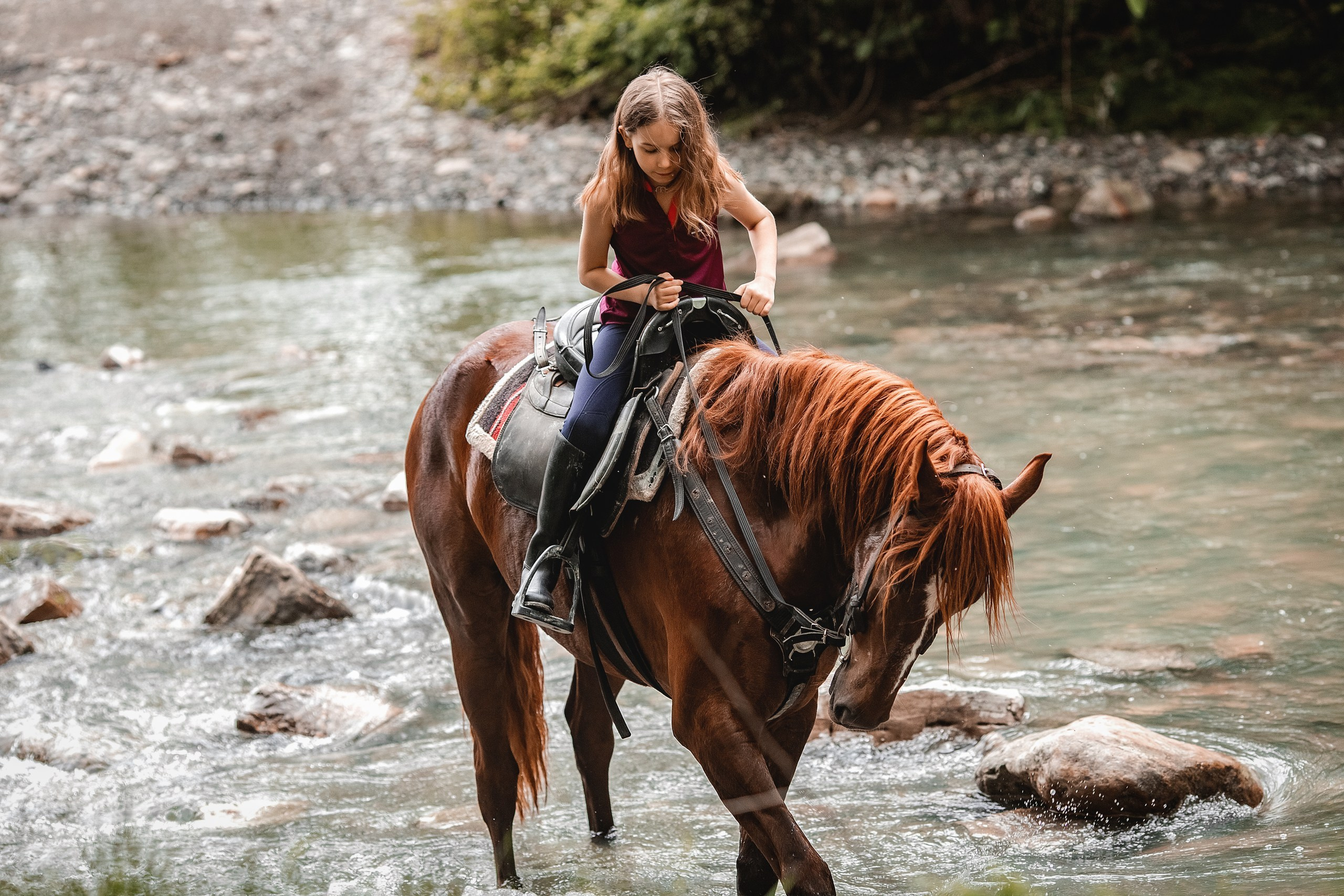 Николь. BrisArts