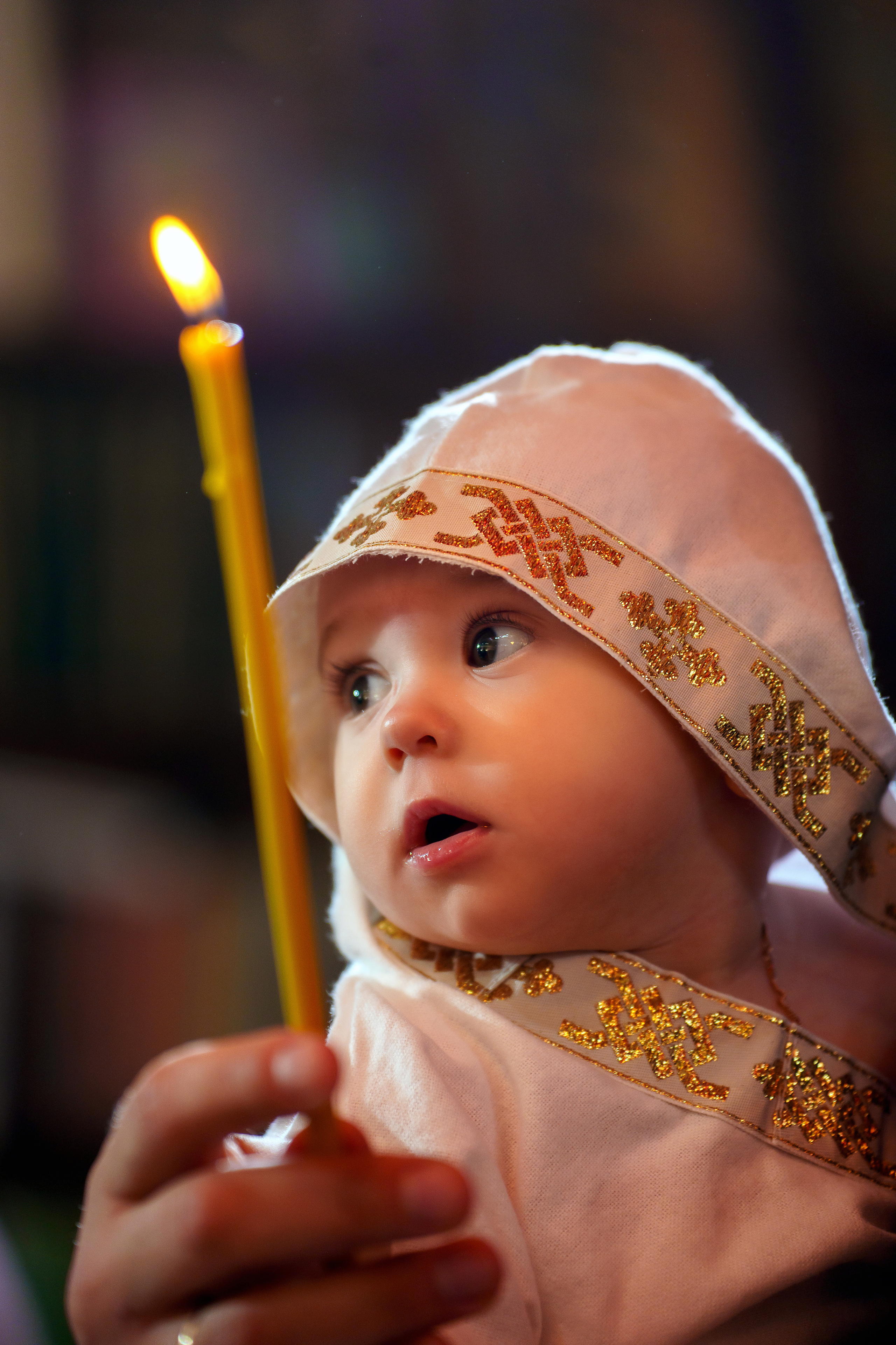 01.04.2023. Фотограф Андрей Чеботок (Белгород, Курск, Воронеж, Старый Оскол)