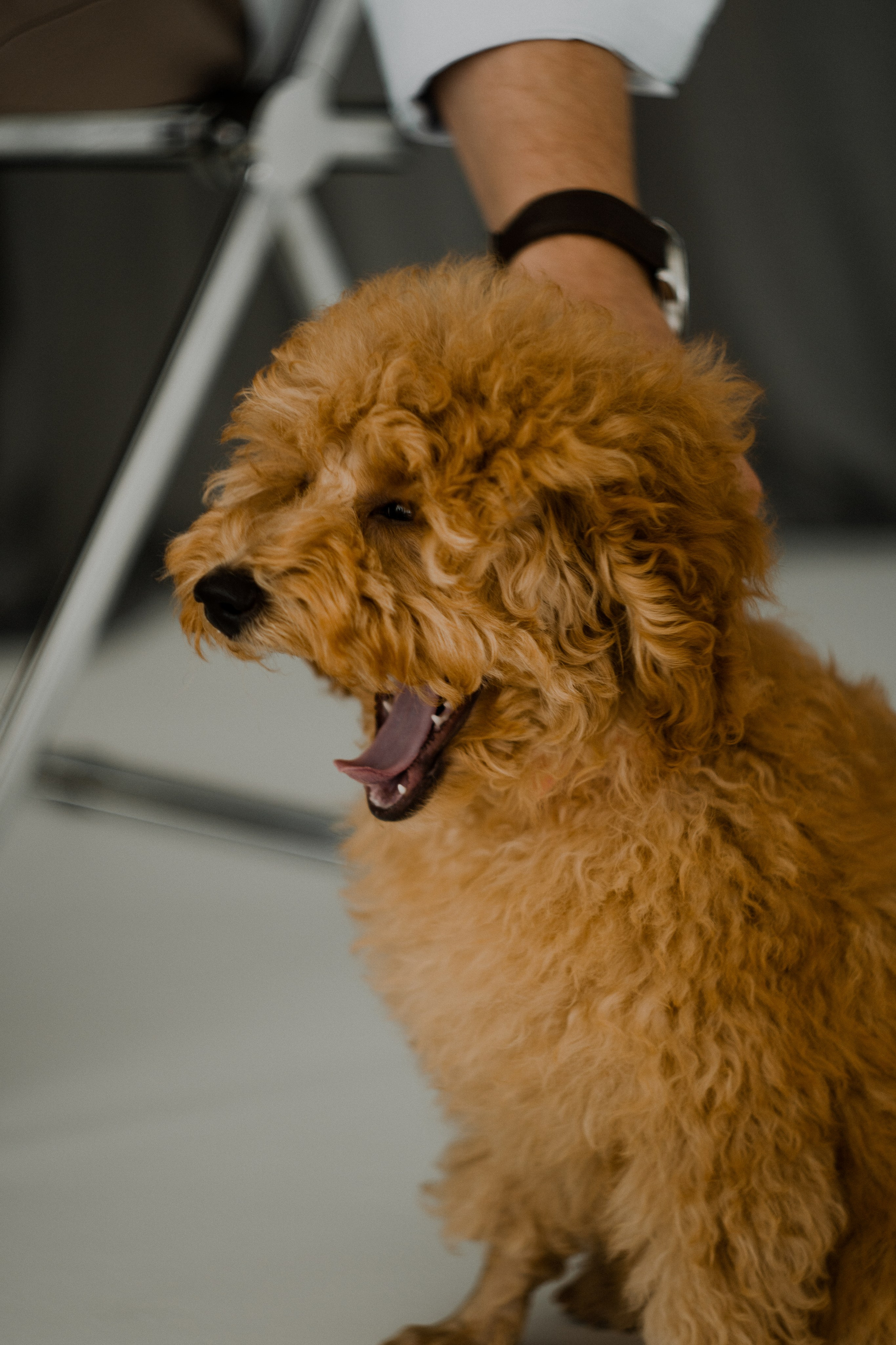 MAKSIM&TATIANA. MAX TIHANKOV