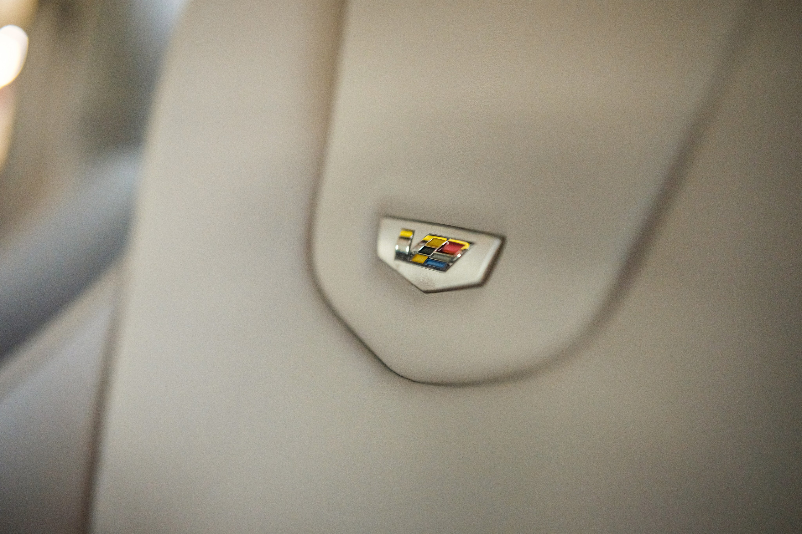 Кэдди. Алексей Никифоров фотограф Москва, Химки