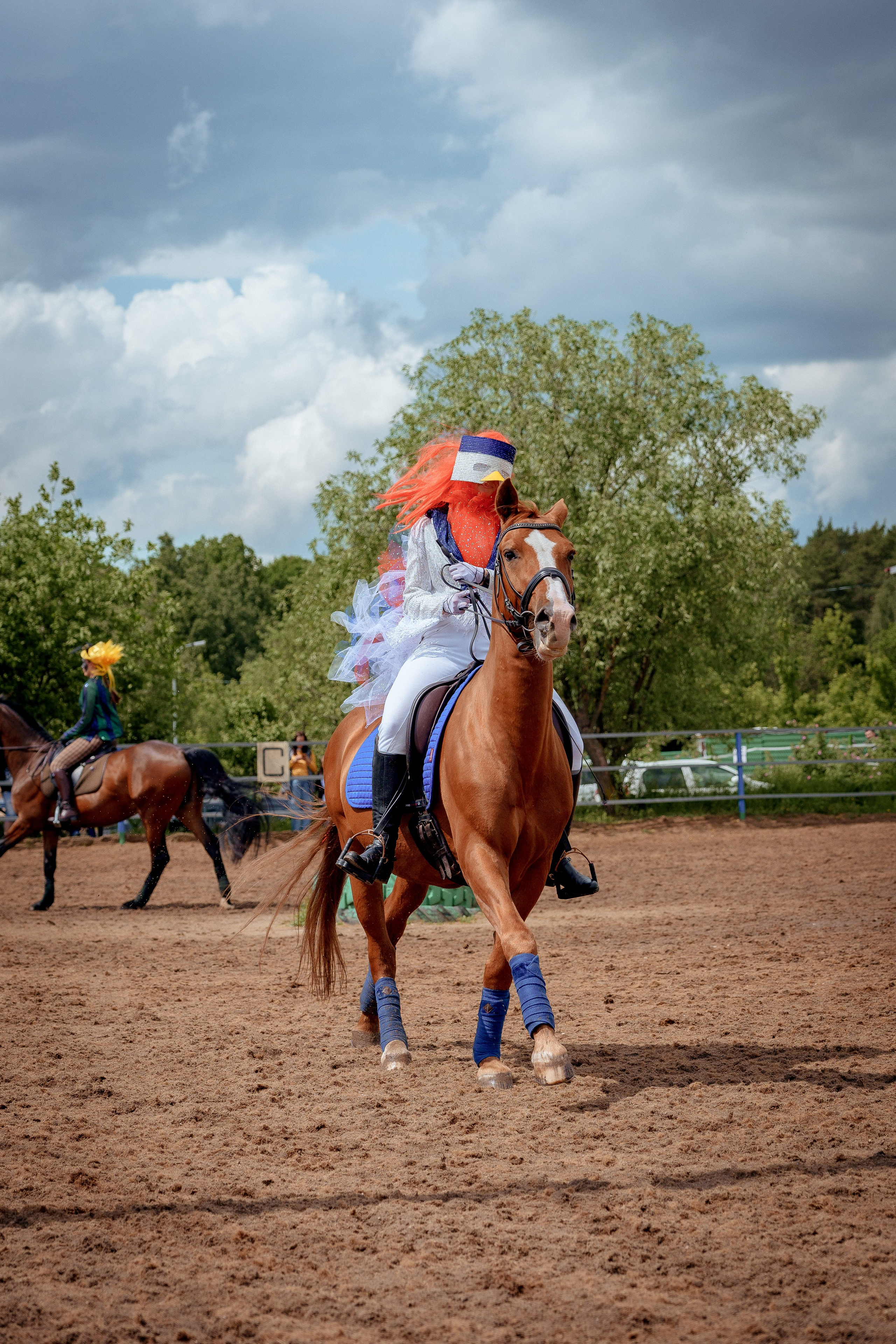 Конный клуб Горки. Портретный и семейный фотограф в Москве/Видное
