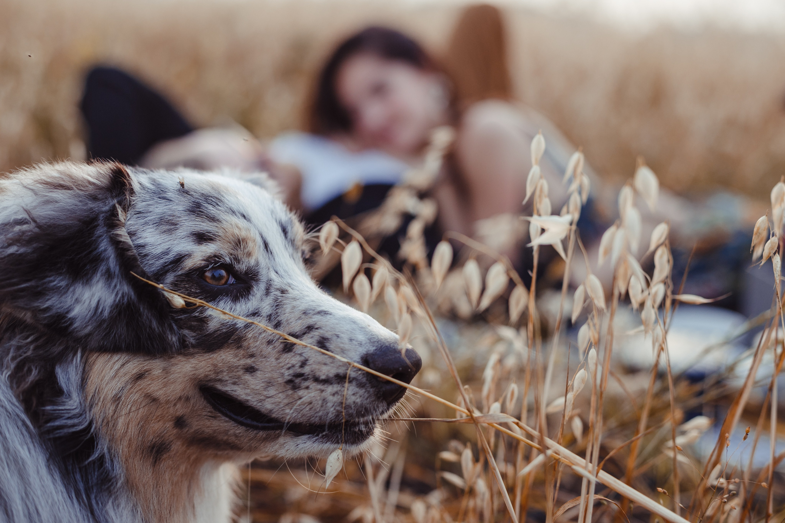 Mike. PHOTOGRAPHER romanoff-egor