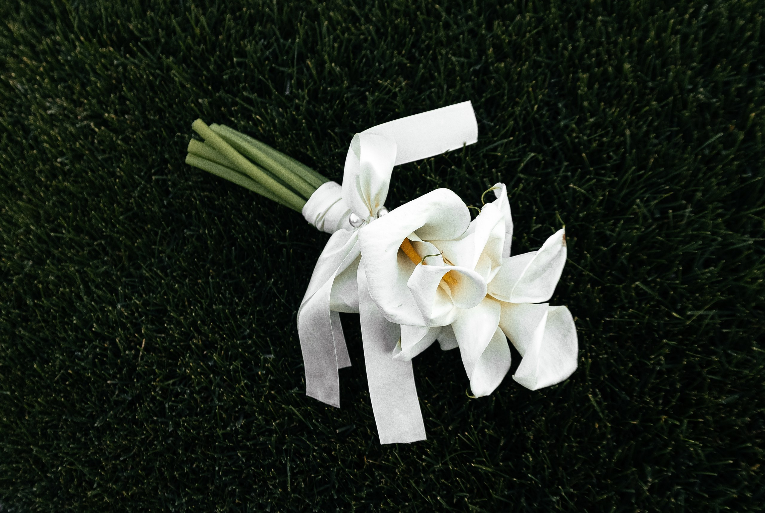 Николай и Марина. Главная