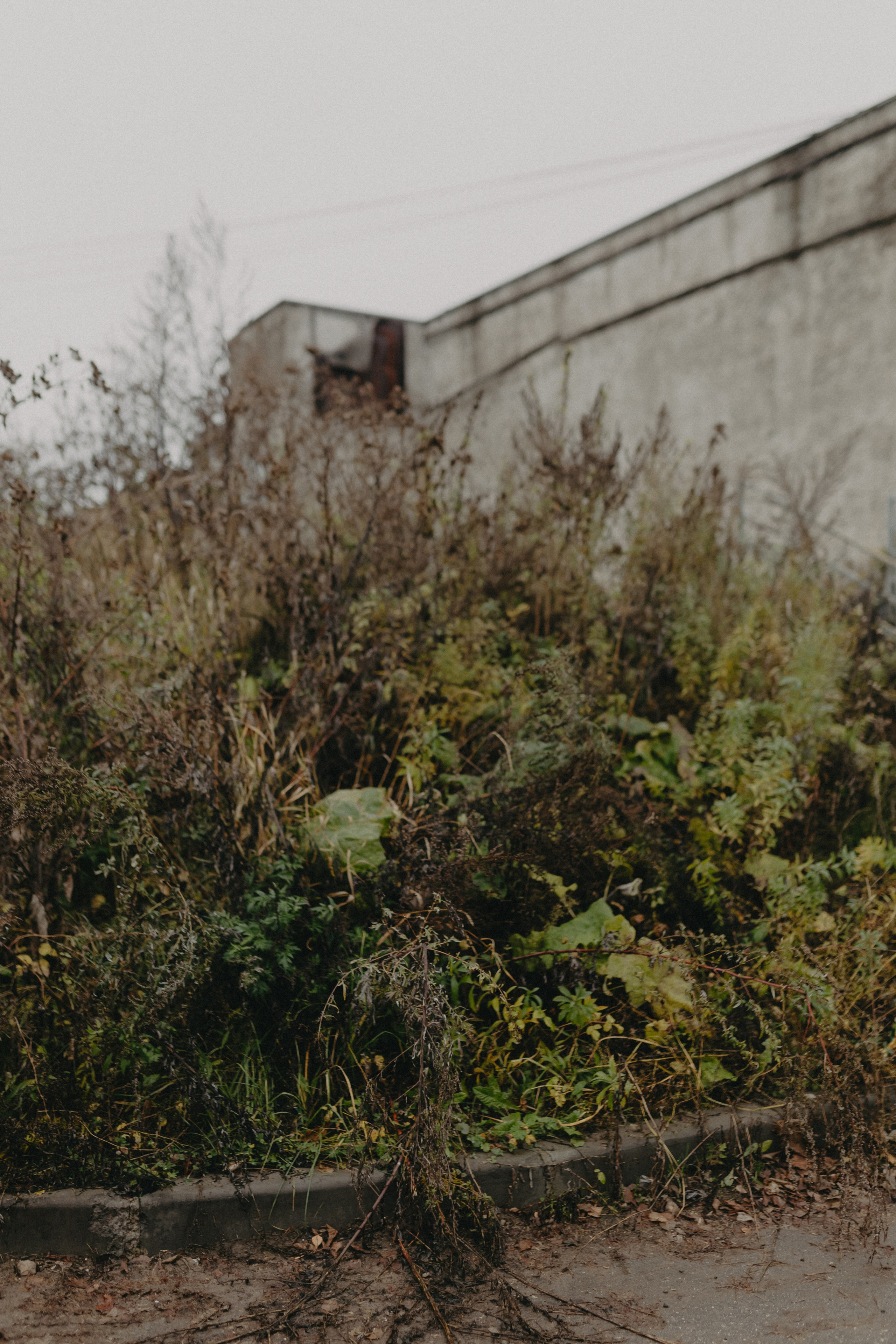 Диана и Антон. Свадебный и семейный фотограф Женя Добрянская в Нижнем Новгороде
