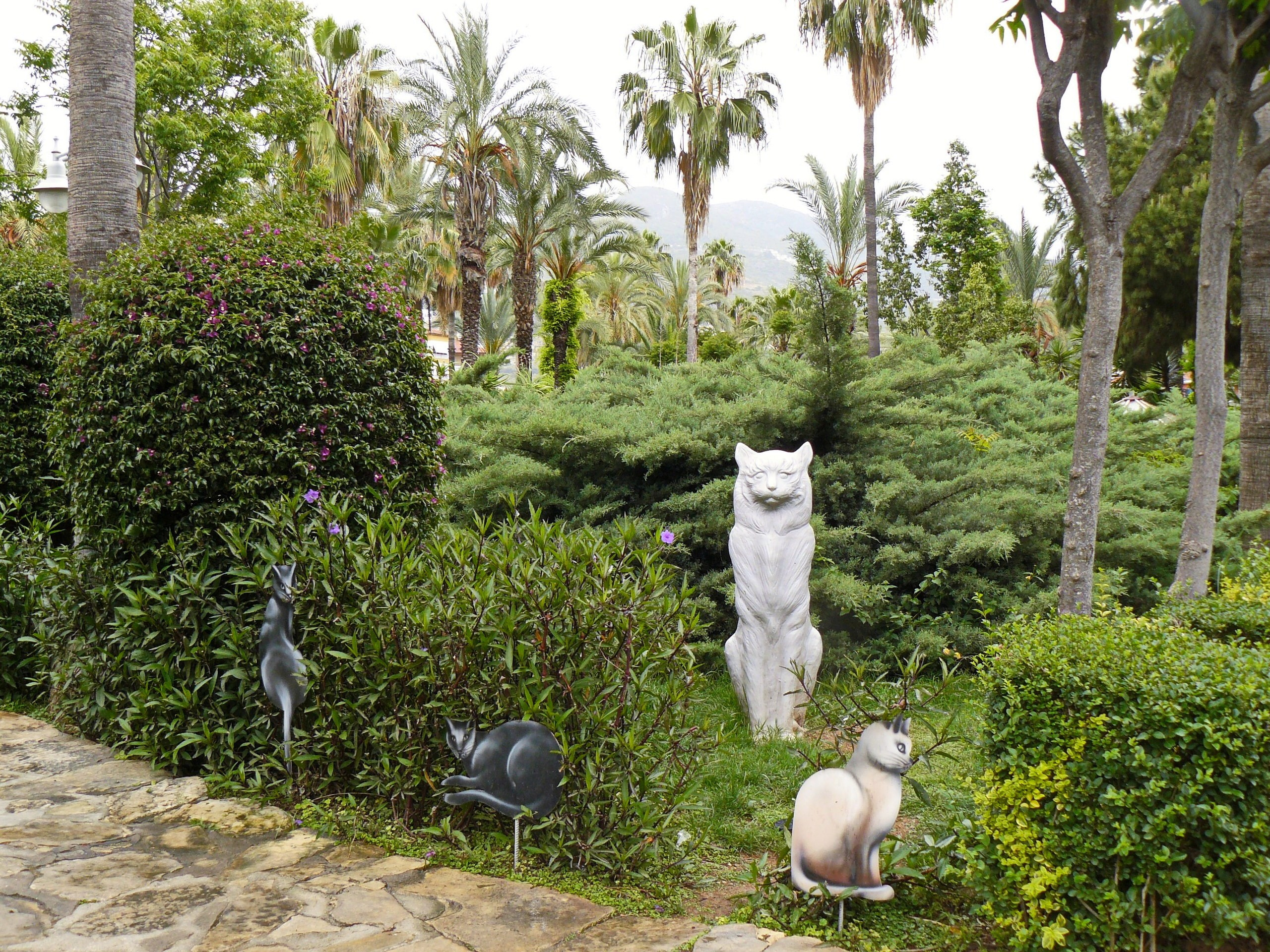 Алания 2014. Фотопрогулки по Миру