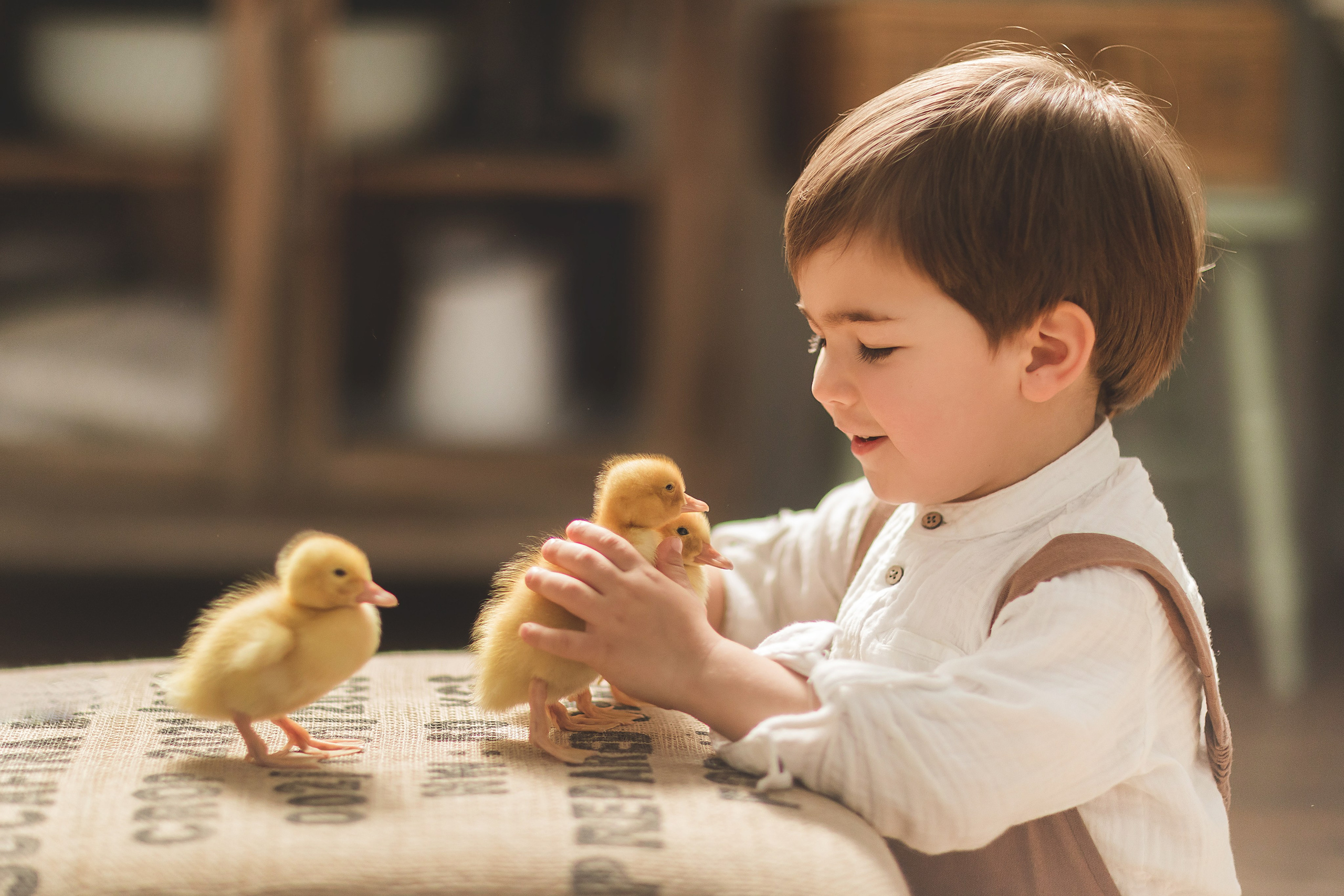 Пасха с животными (3,4 апреля). Семейный и детский фотограф Краснодар Валерия Власенко