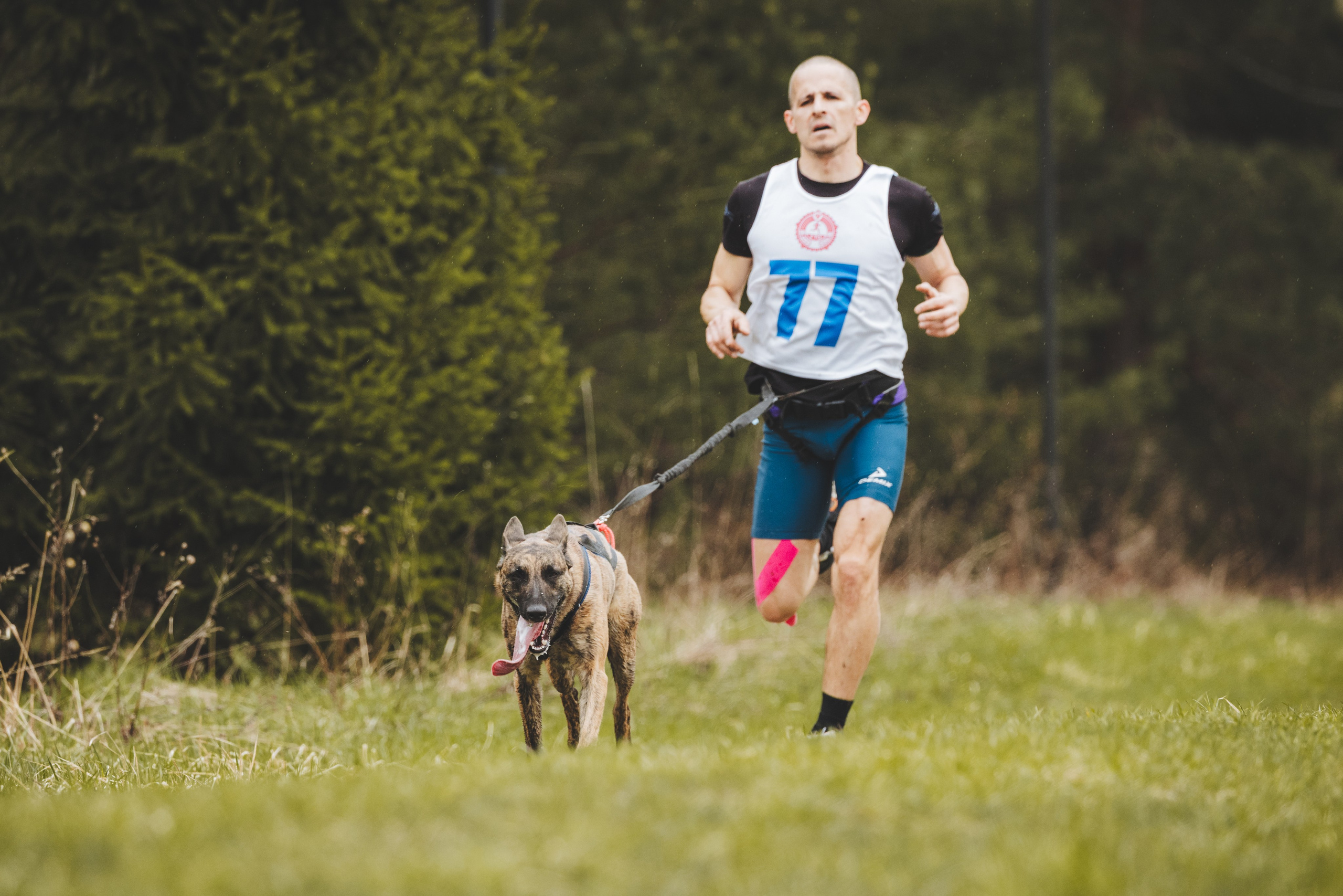 Почёвинский драйдленд. Фотограф Ирина Астор