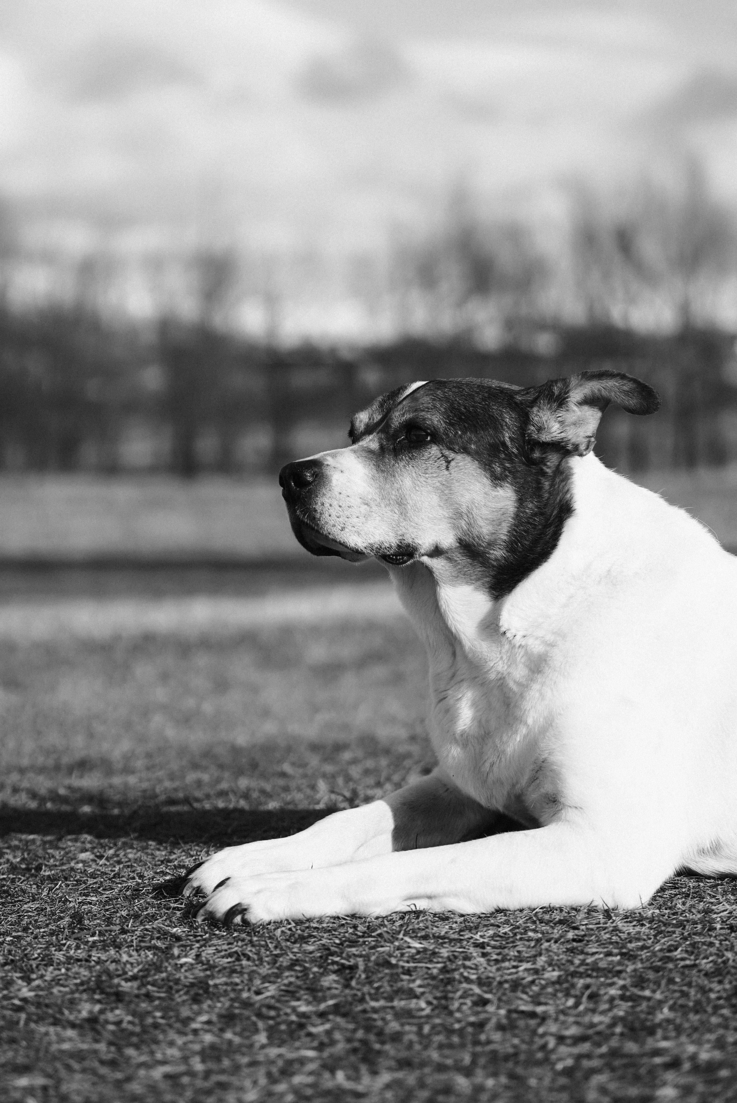 Друзья. Фотограф на Камчатке Воронина Ульяна