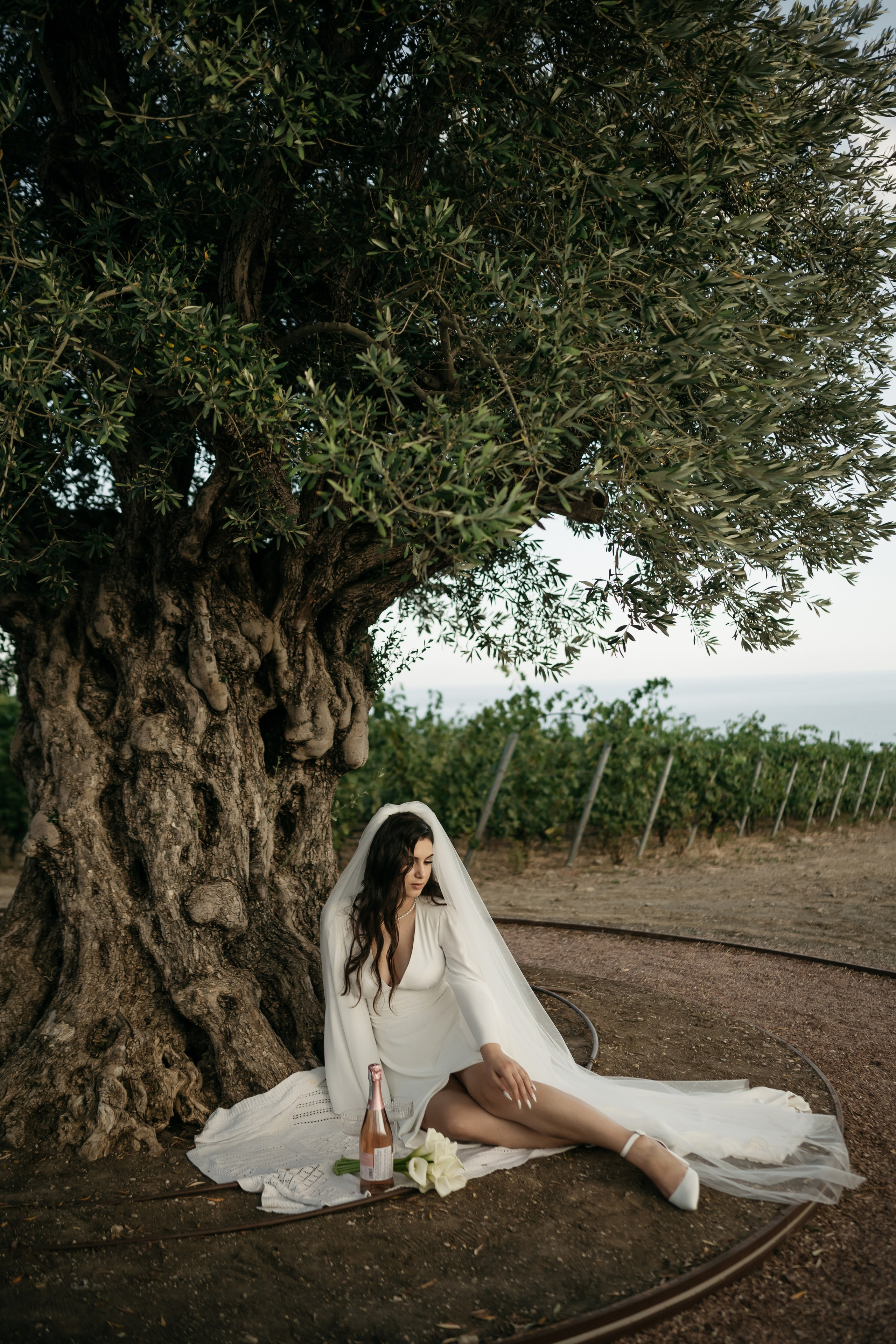 Свадьба в Винном парке в Крыму. Свадебный и семейный фотограф и видеограф, Крым, Москва, Санкт -Петербург
