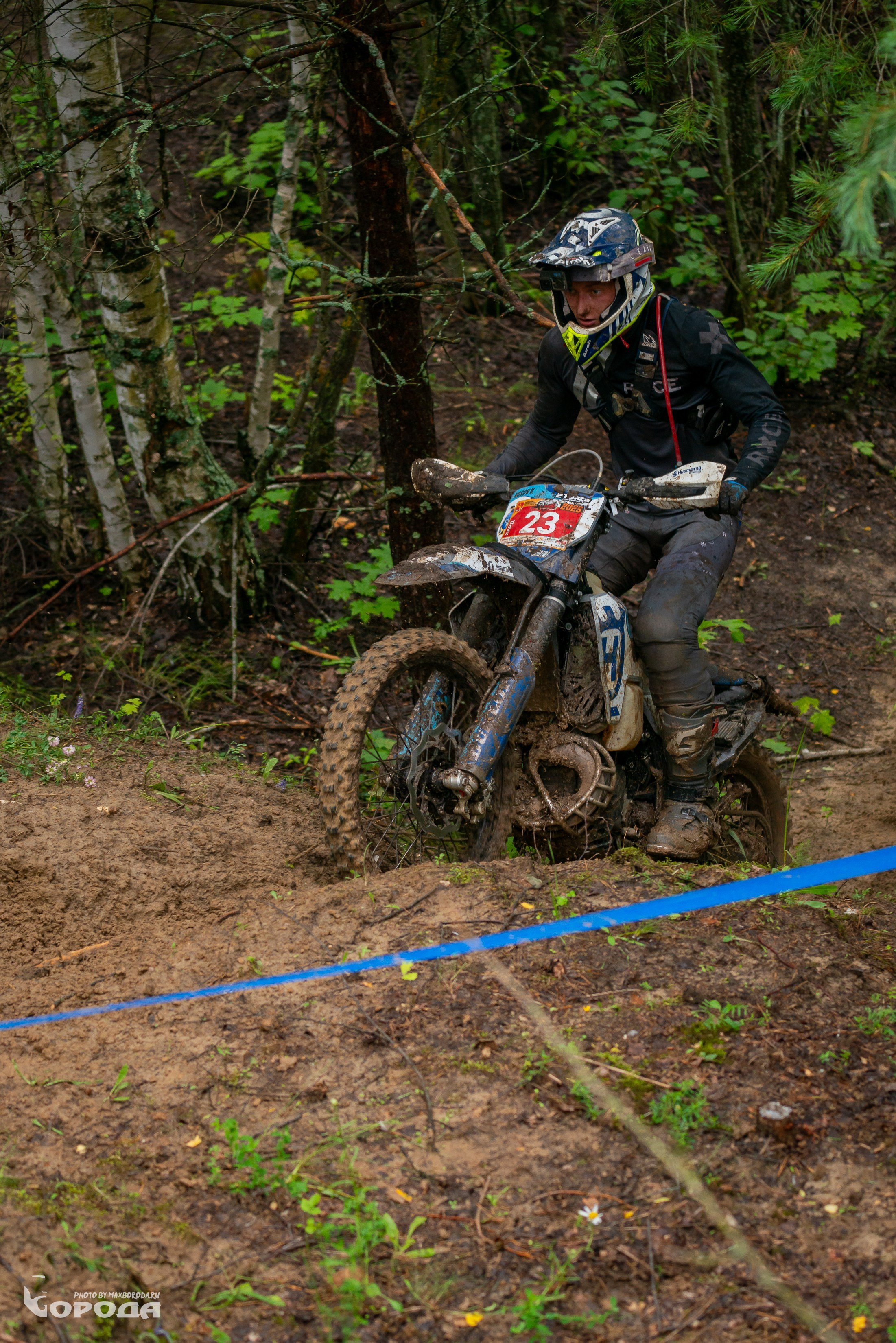 Дубрава 2025. Фотограф | Макс Борода