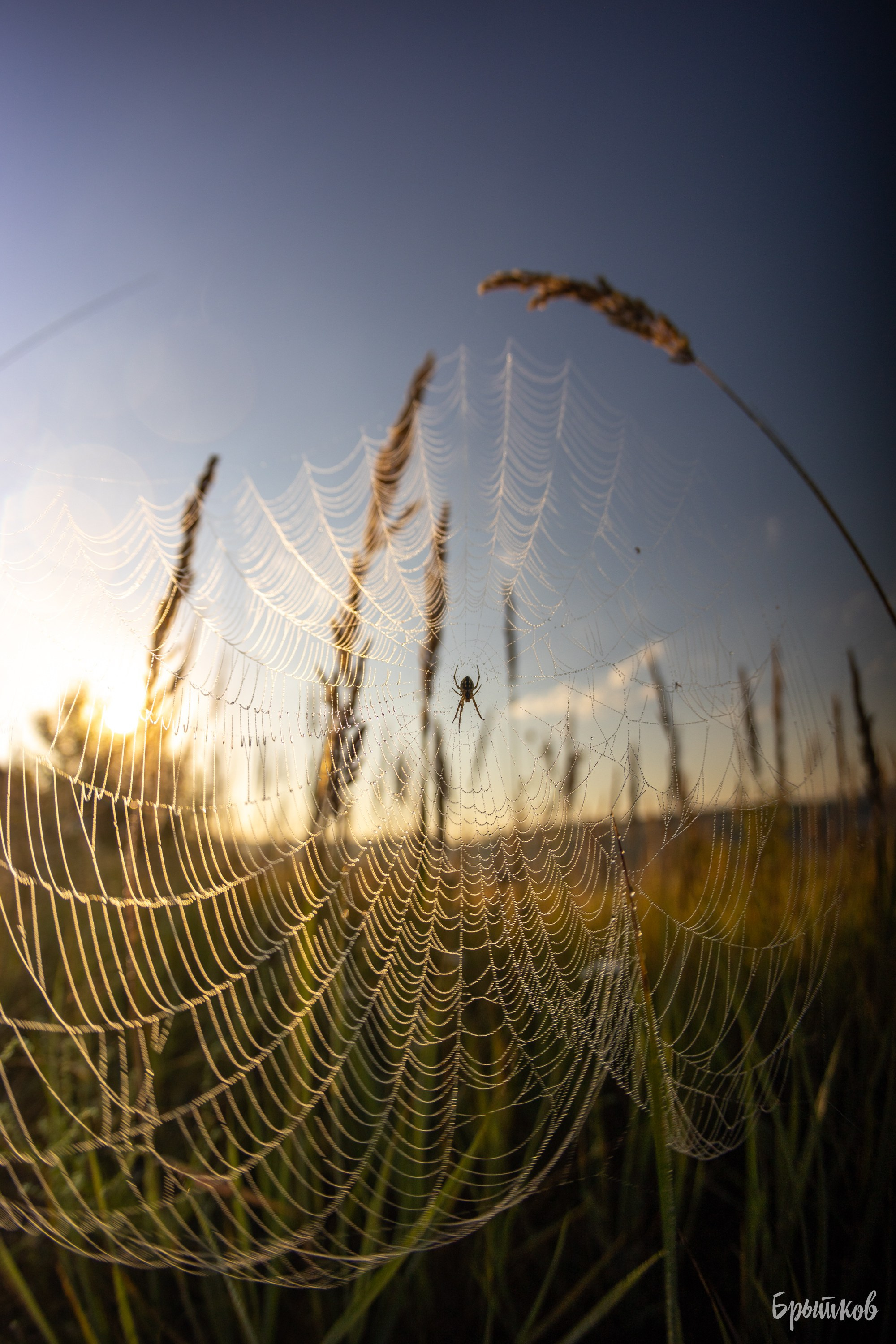 Козье. Николай Брытков — фотограф в Туле