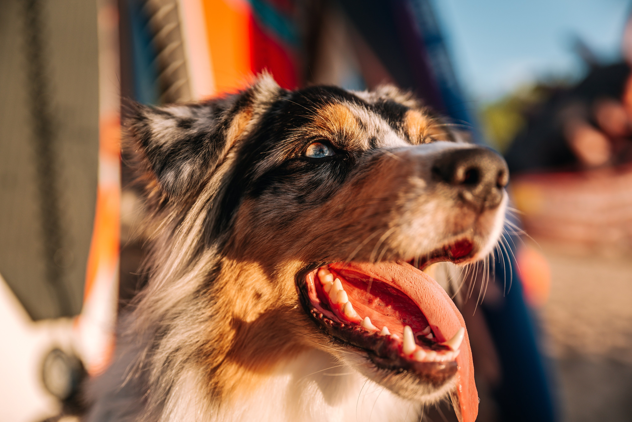 No Bad Days. Главная