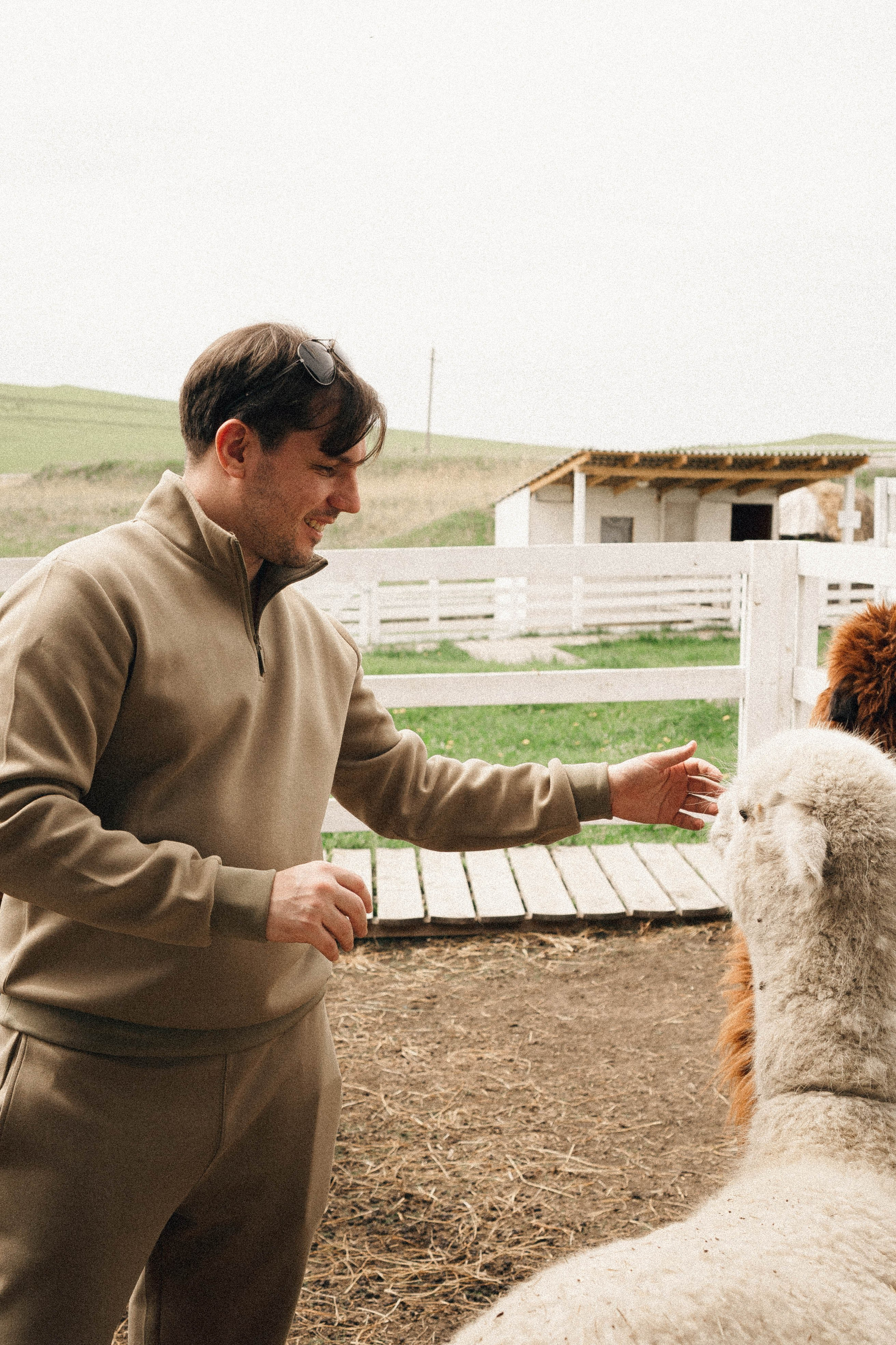 Ферма Альпак. Профессиональный фотограф, Санкт-Петербург — Виктория Богомолова