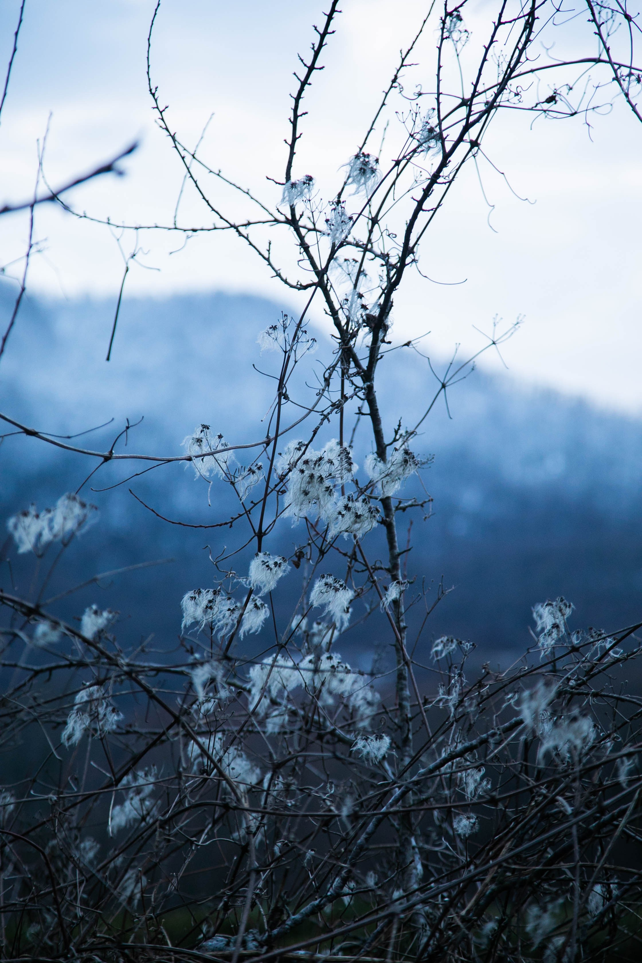 Маргарита. Семейный и детский фотограф в Санкт-Петербург. Natalia Fadel
