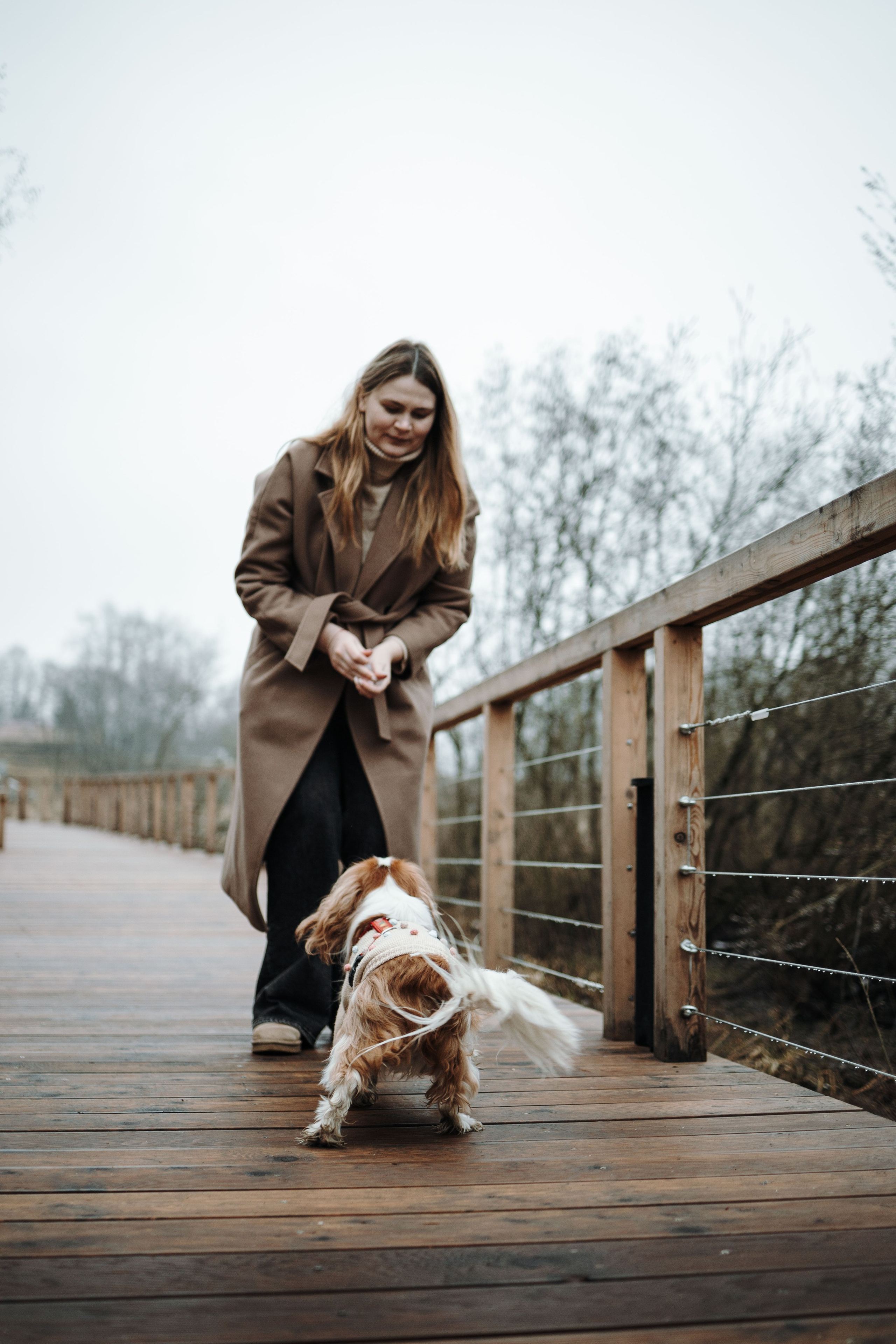 Любовь и Альтаир