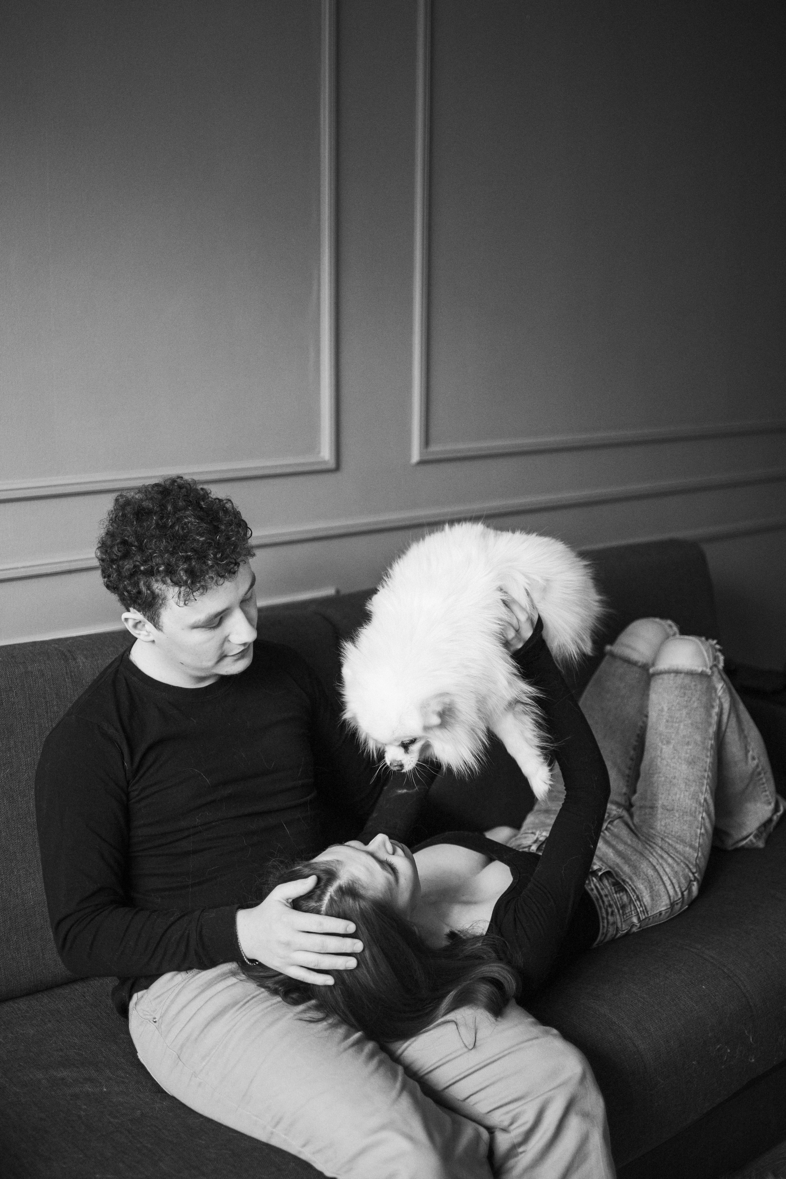 Шпиц Мася и ее семья