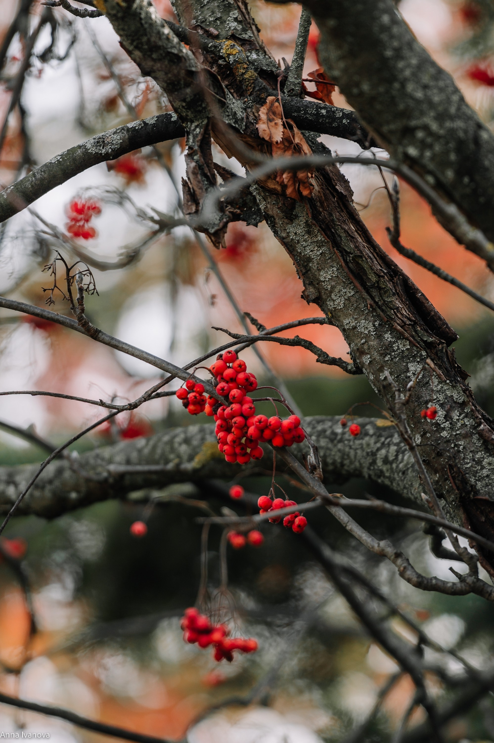 Свадебная фотосессия. Анна Иванова Свадебный Фотограф Чебоксары