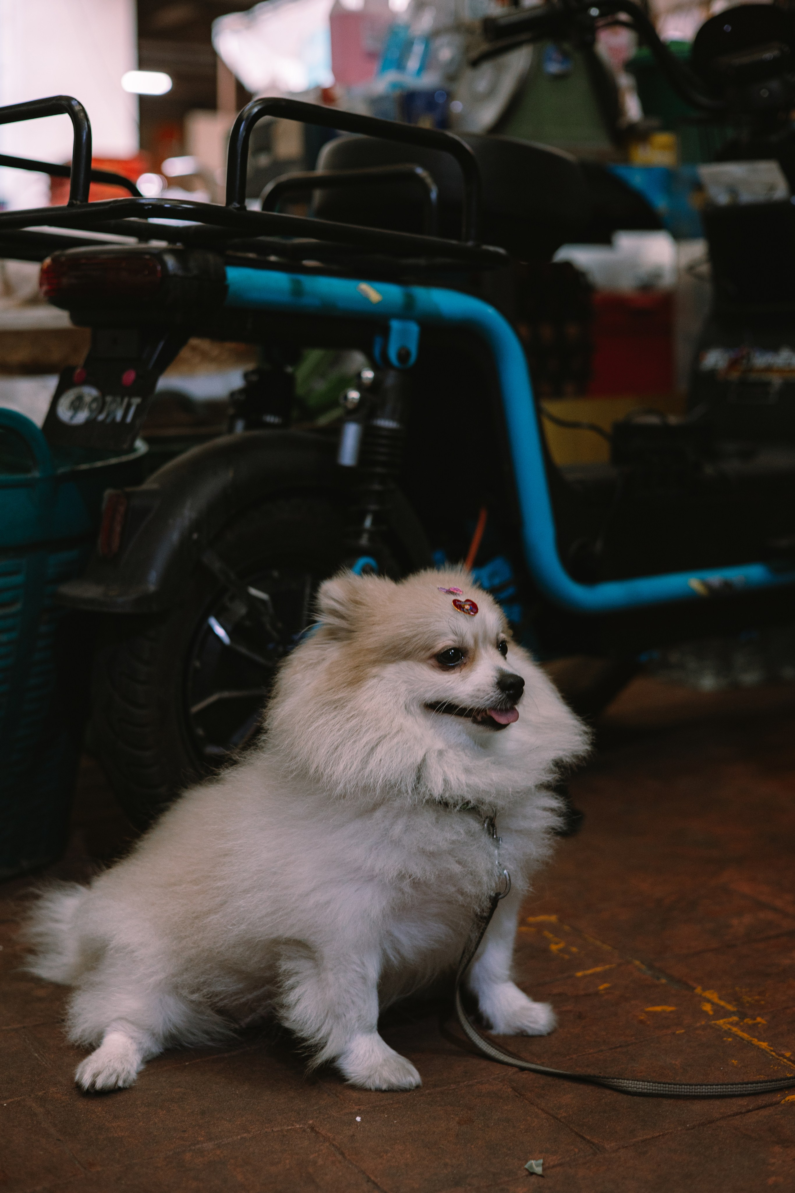 Bangkok. Портретный фотограф