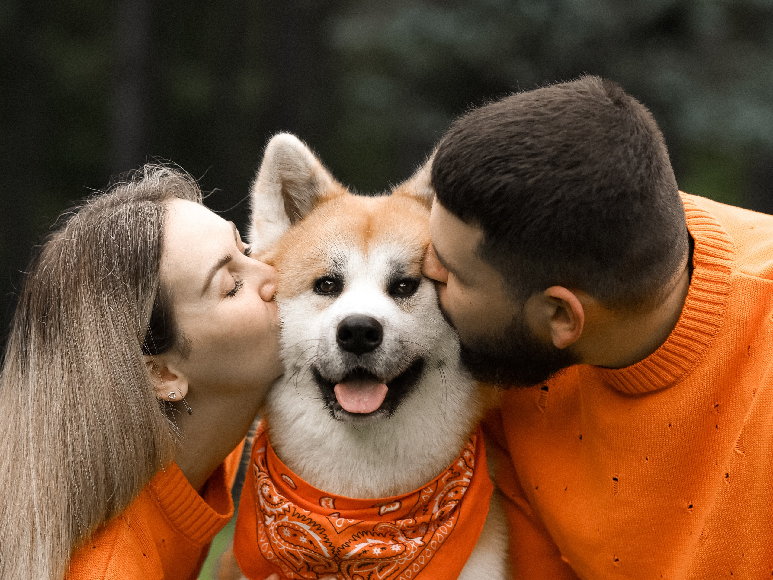 Гранд, Вика и Степан. Фотограф-анималист в Москве Кириллова Татьяна