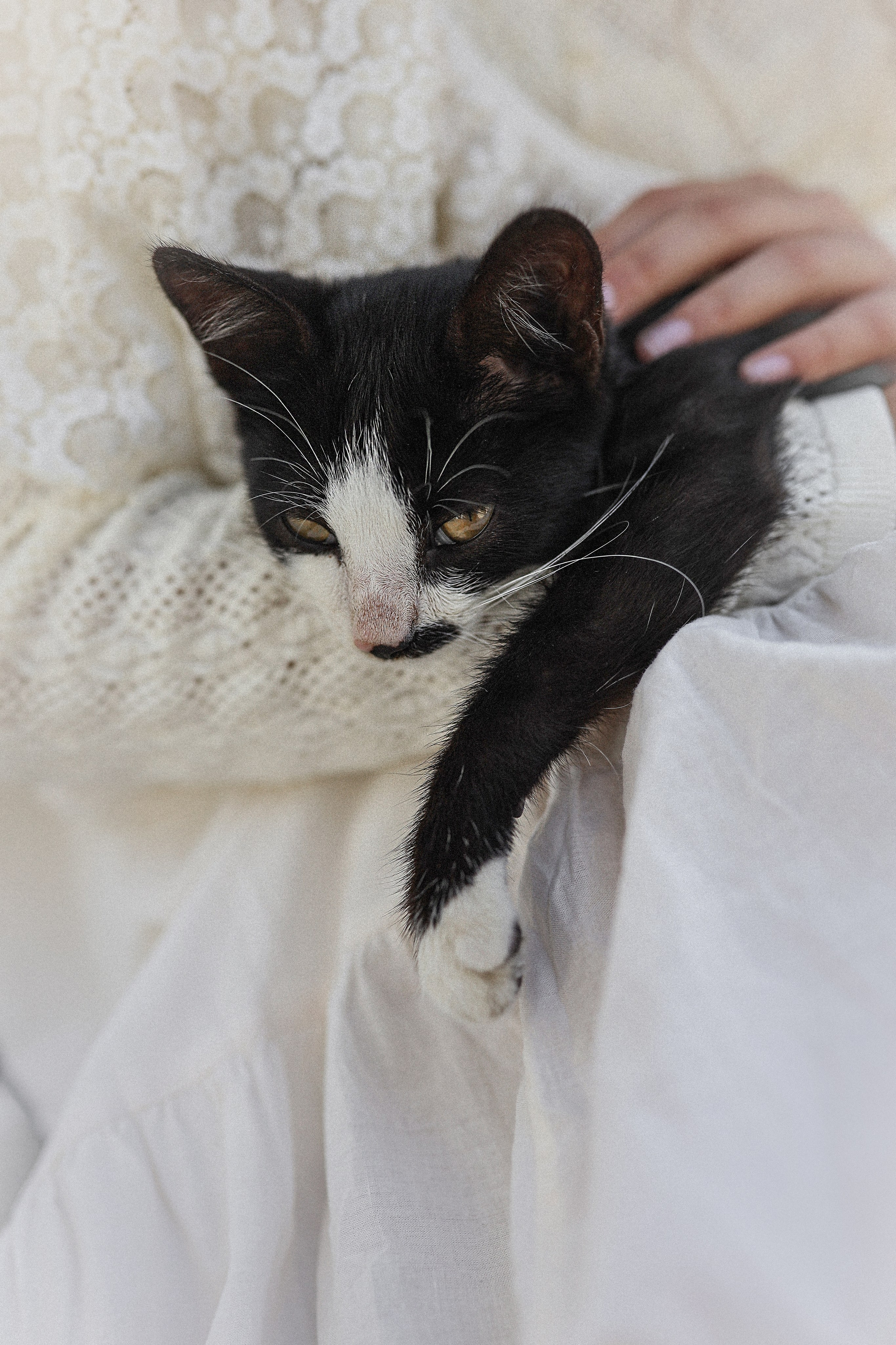 Фотосессия на станции Гума, Сухум. Свадебный и семейный фотограф в Абхазии Жанна Соснина