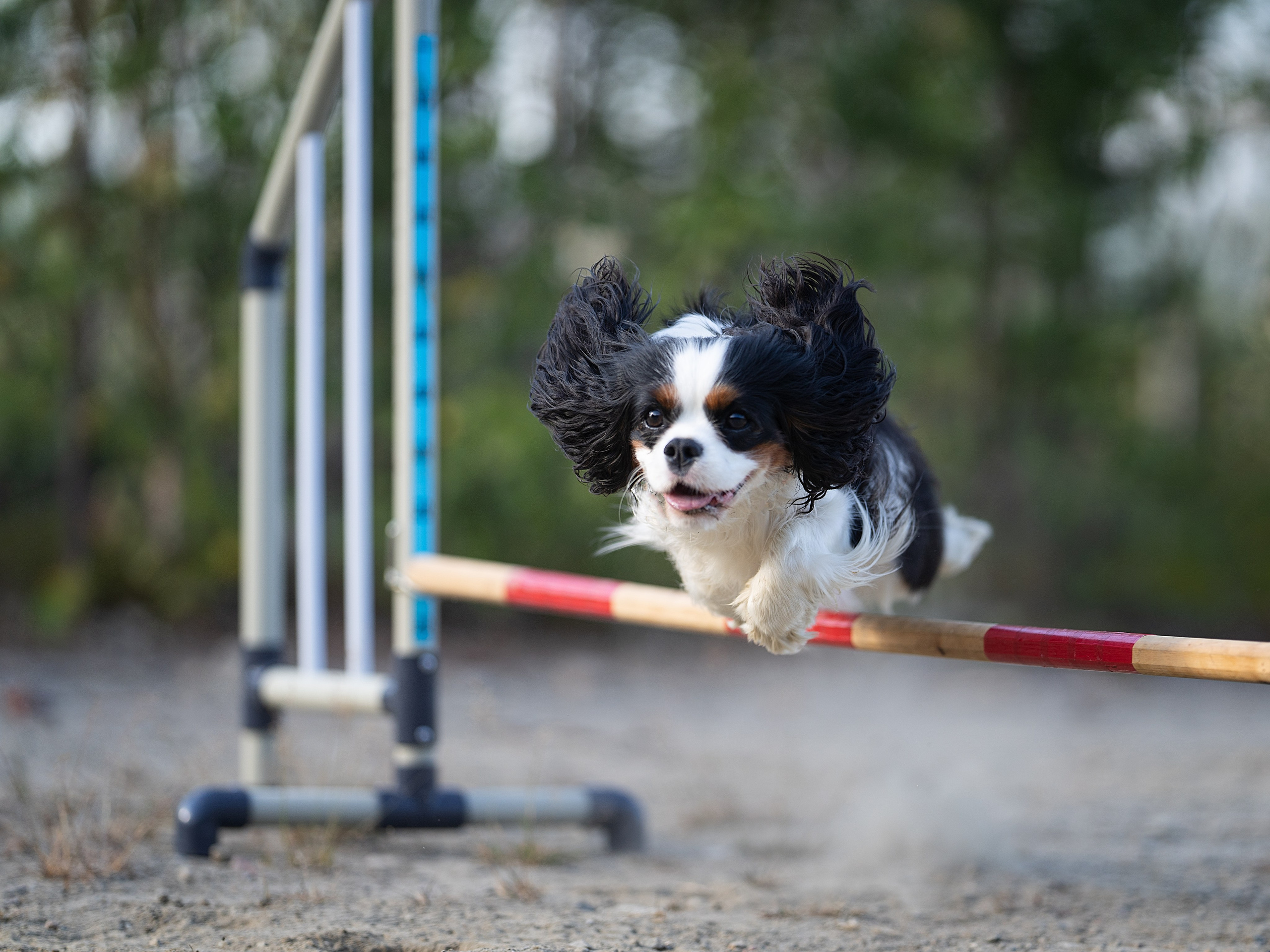 ККЧС Луна. Главная