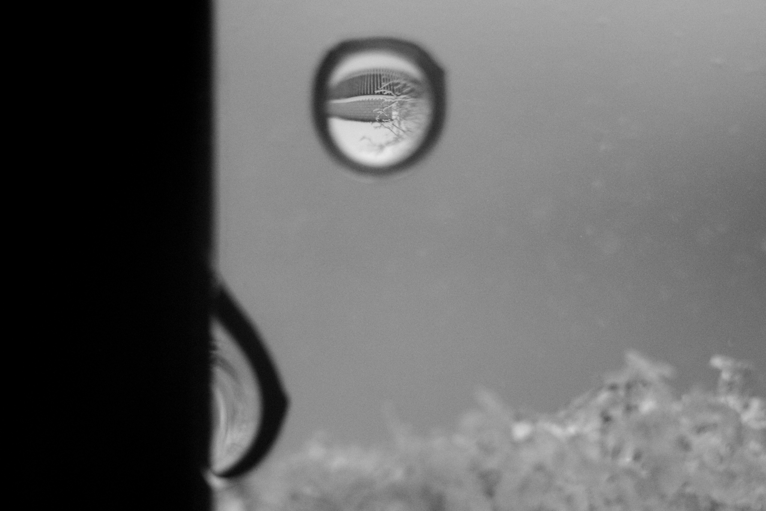 ЧБ  пейзажи (BnW landscape). Фотограф (photographer) Lischinski Vitaliy