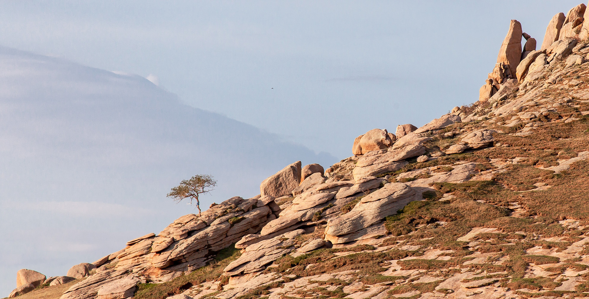 Монголия. Yuri Ovchinnikov Photography, St. Petersburg, landscape photography