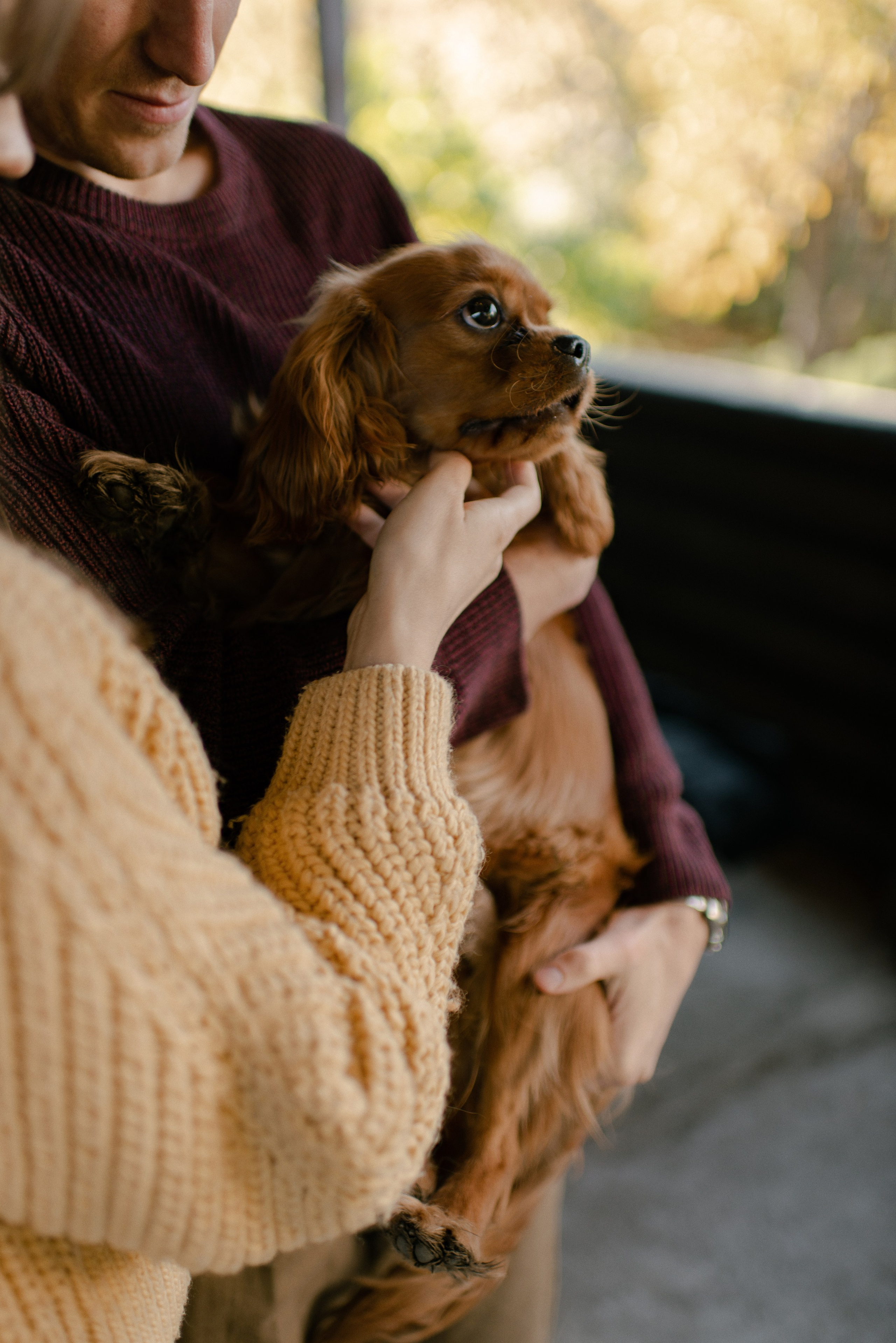 Ксюша и Леша. Свадебный фотограф в Самаре Виденмаер Евгения