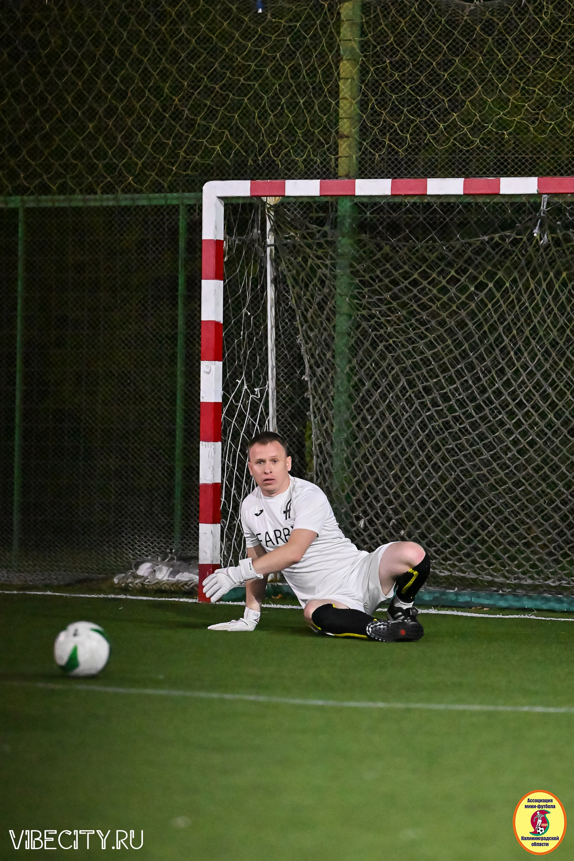ФИНАЛЬНЫЕ ИГРЫ КУБКА МИНИ-ФУТБОЛЬНОЙ ЛИГИ И КУБКА КОРПОРАТИВНОЙ МФЛ 2025. VIBECITY.RU Вайб Сити Ру Фоторепортажи Фотоотчеты Калининград