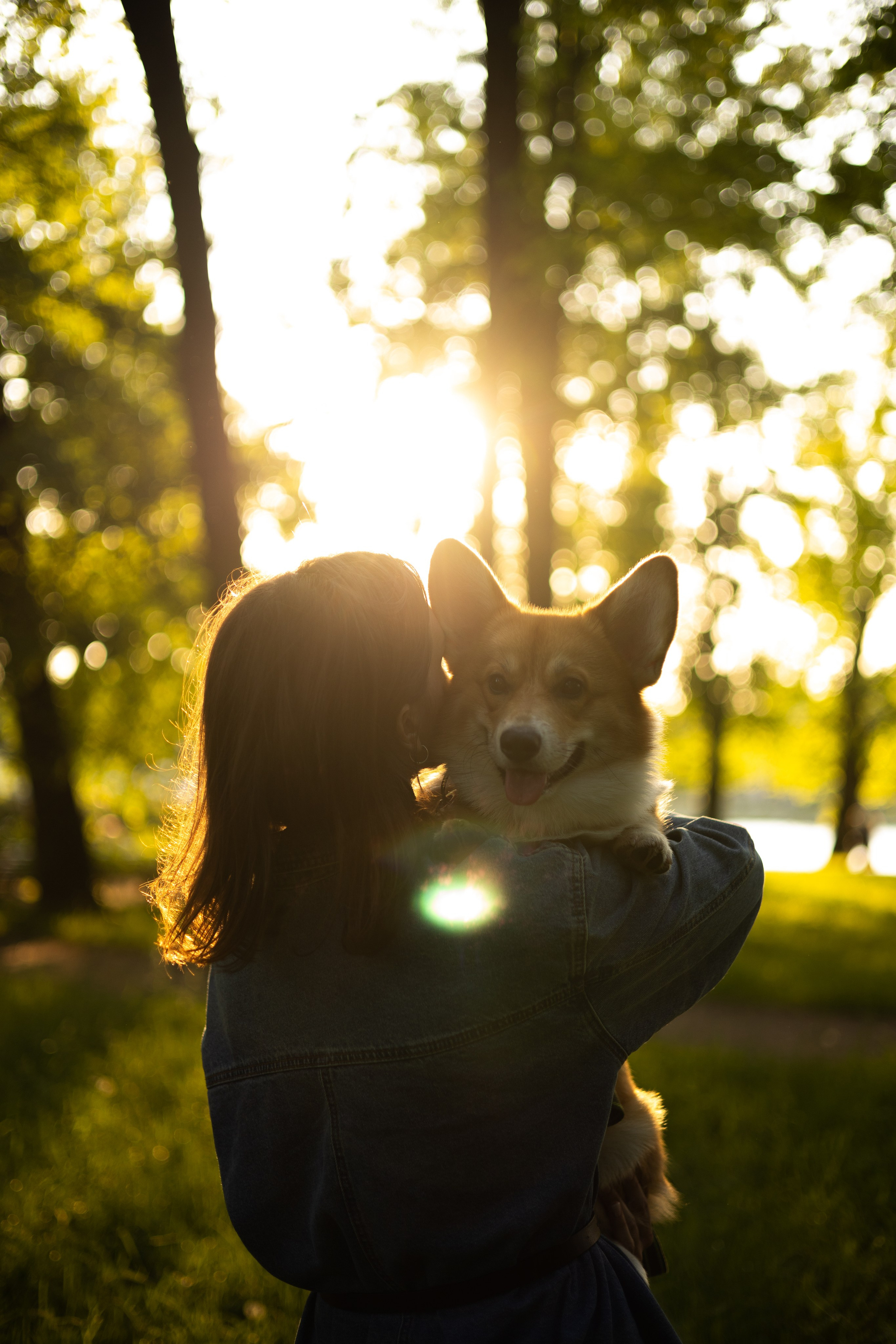 Наташа, Роман и Тео. Фотограф животных Евгения Верцинская