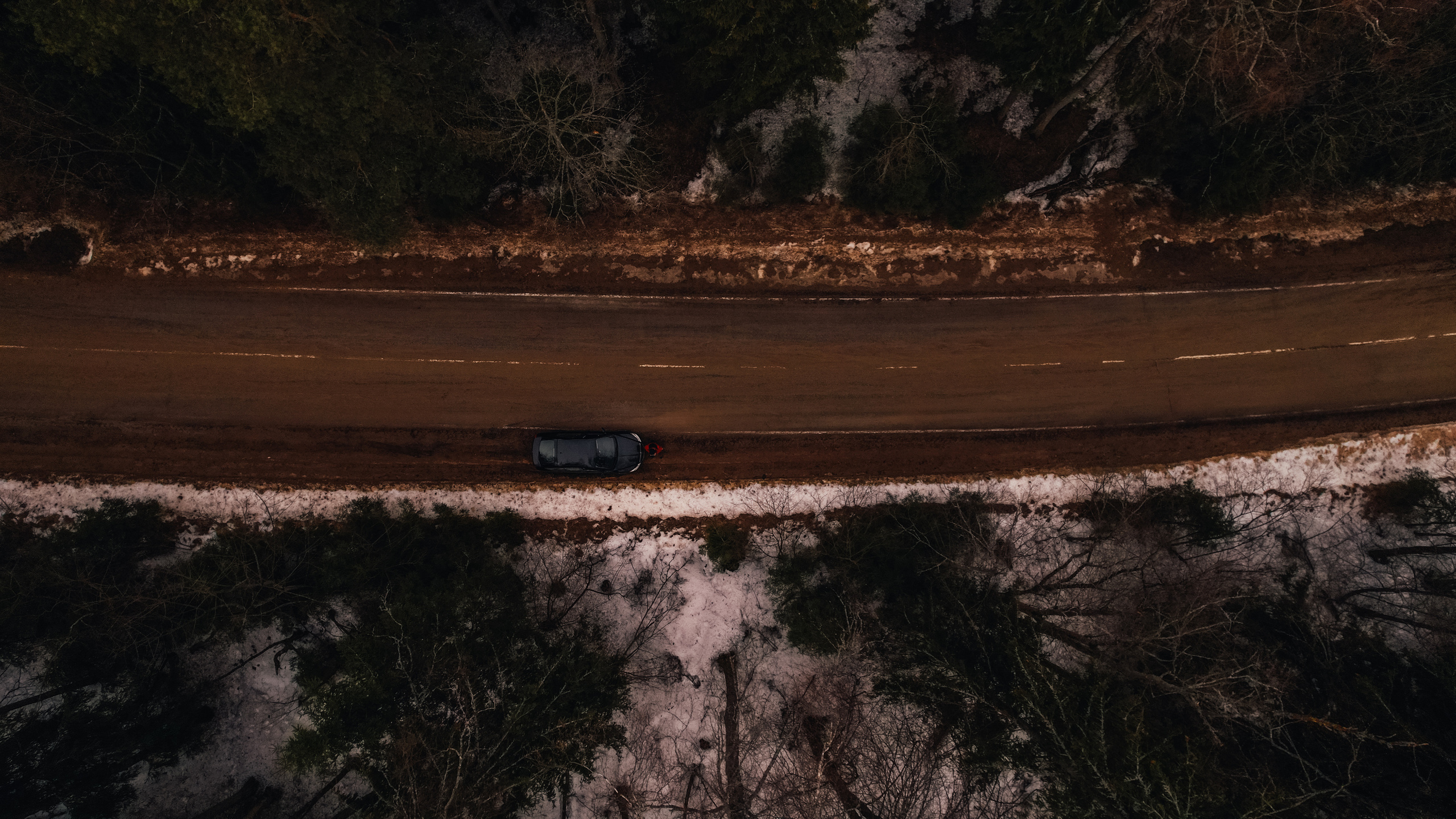 Весна. Фотограф Владимир Кононенко