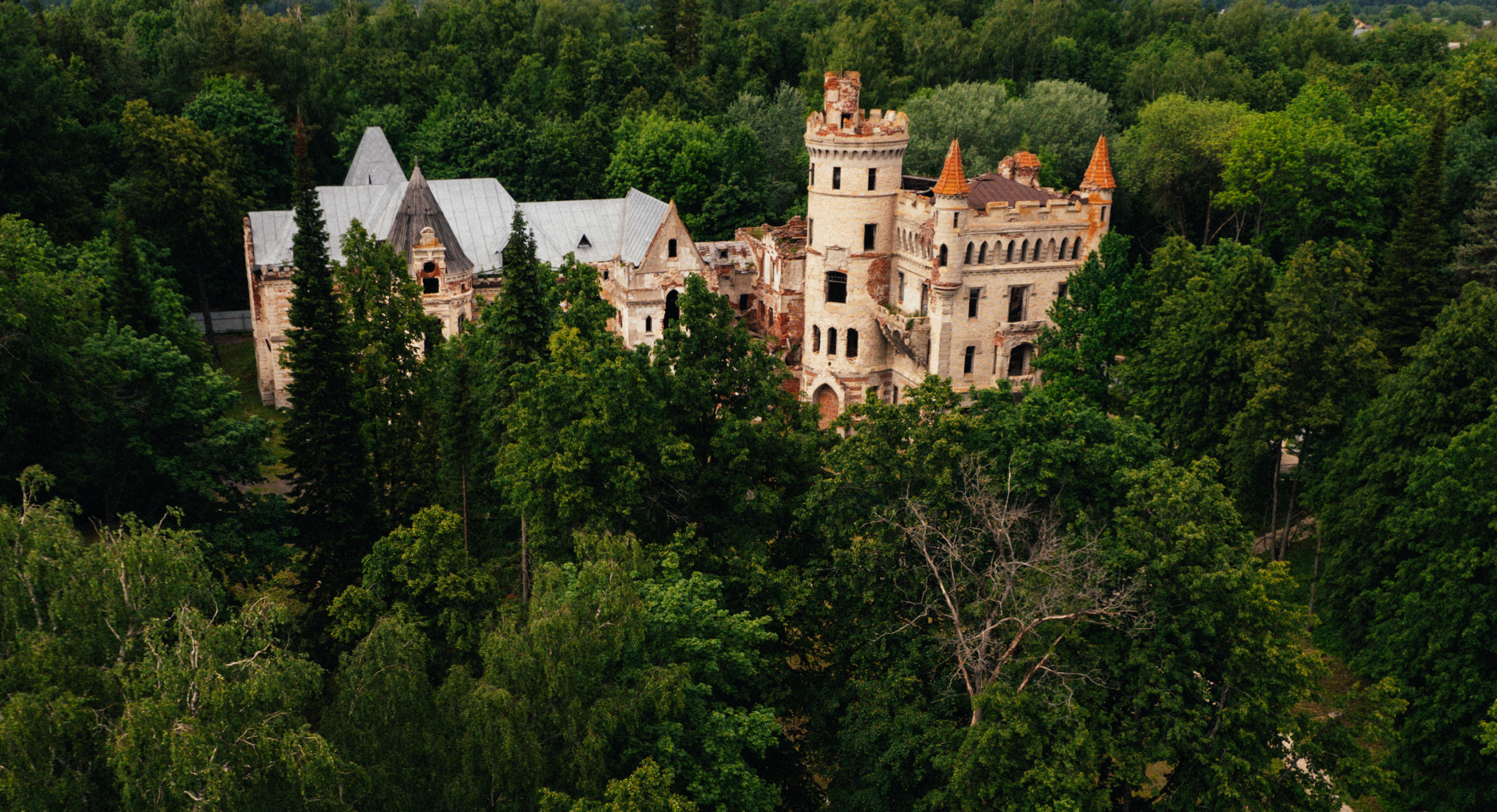 Лето. Фотограф Владимир Кононенко