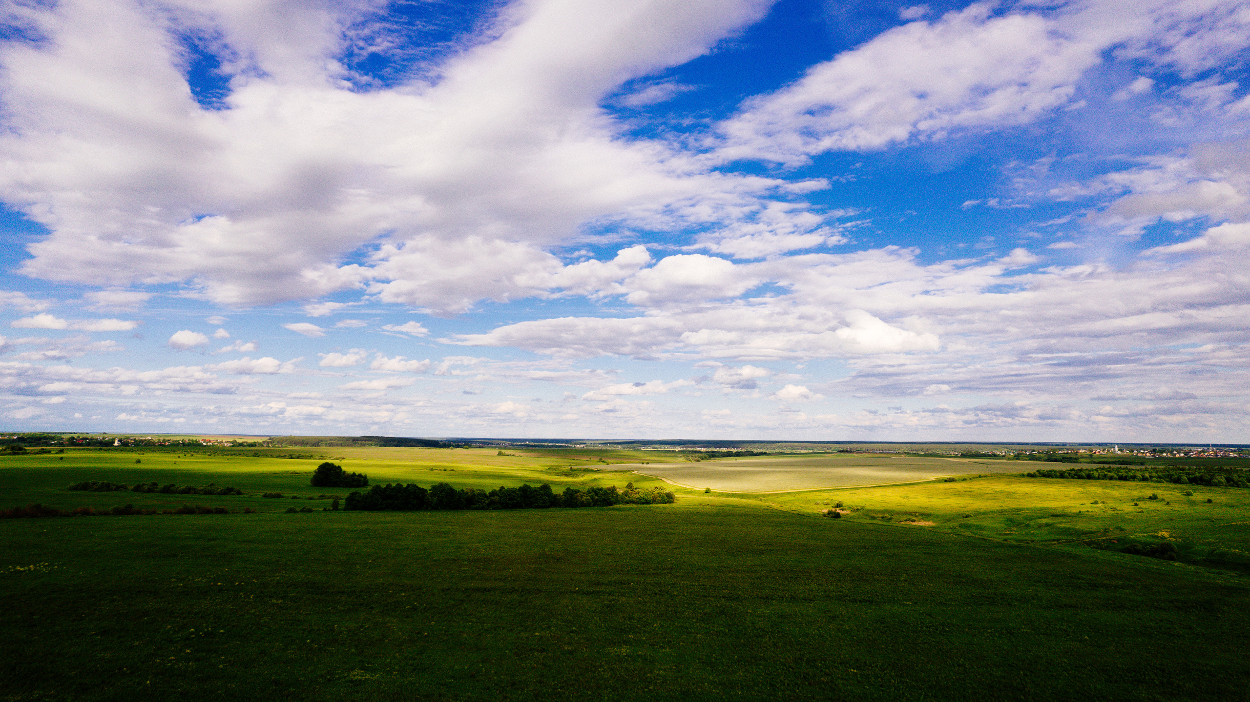 Лето. Фотограф Владимир Кононенко