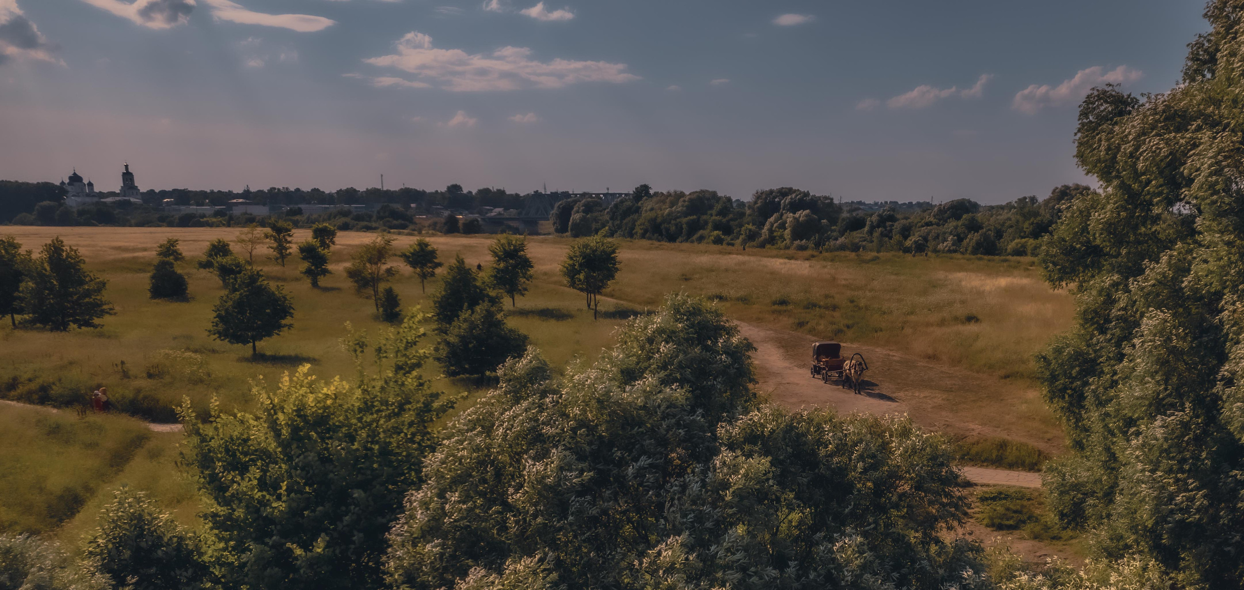 Лето. Фотограф Владимир Кононенко