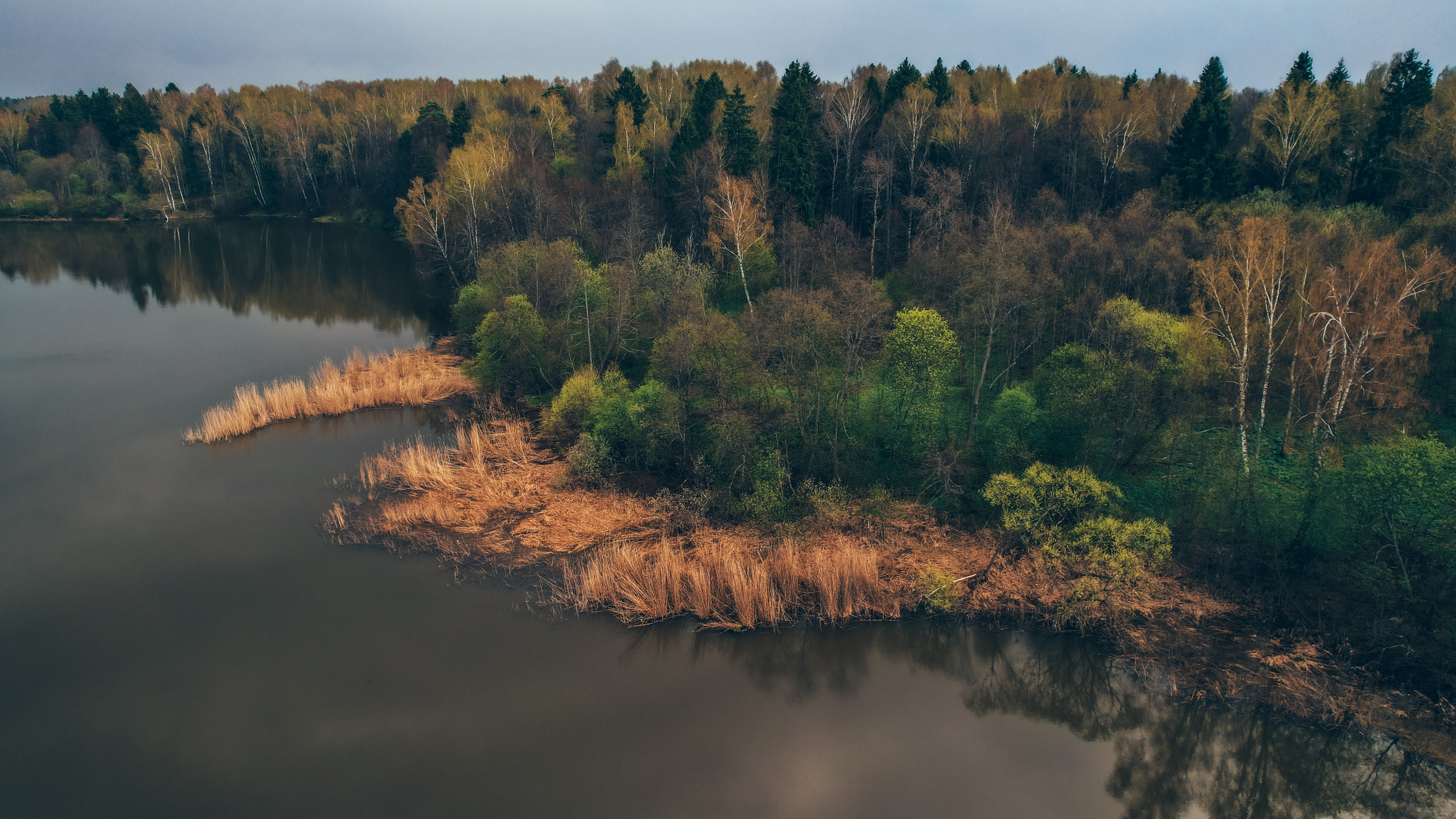Весна. Фотограф Владимир Кононенко