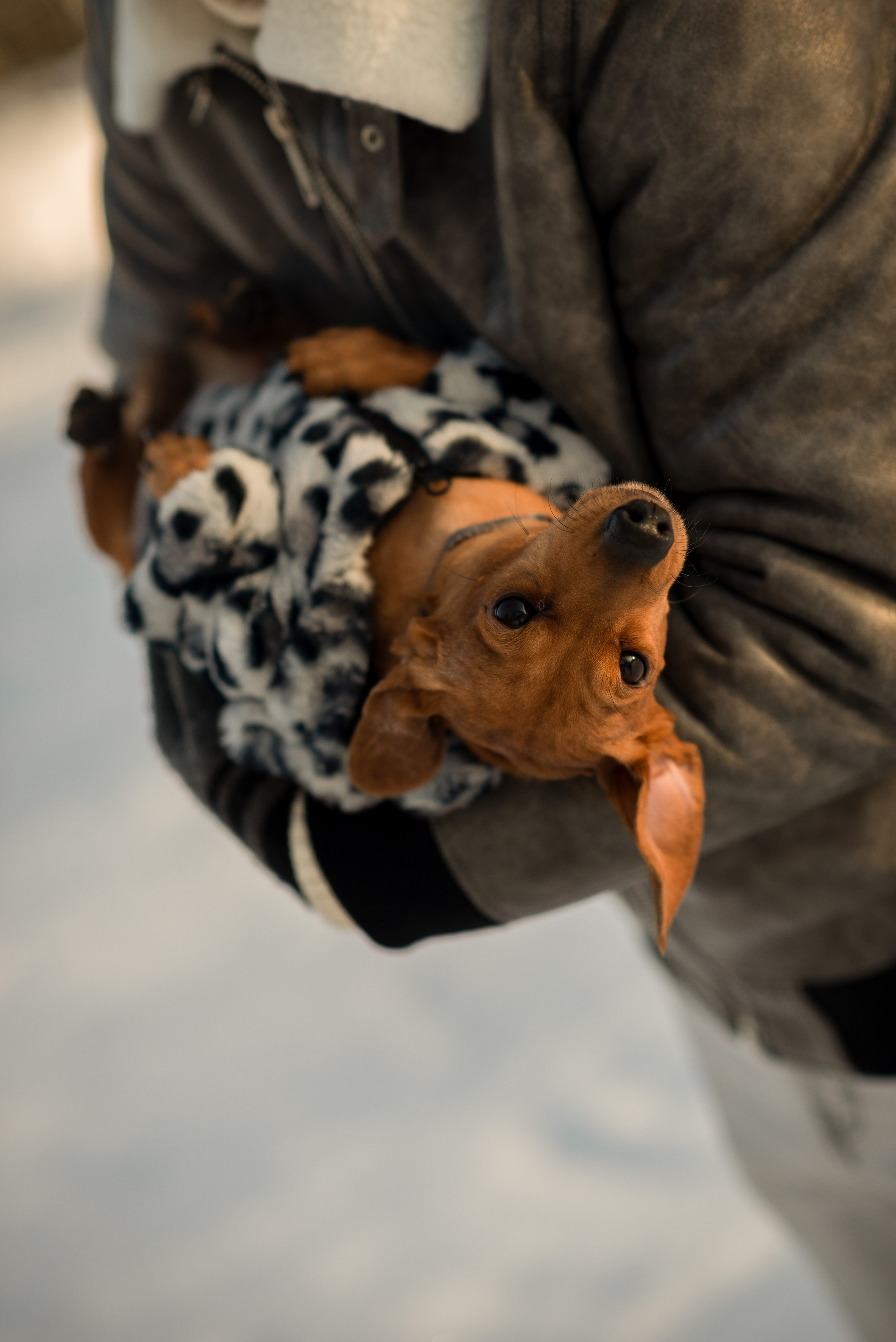 Таня, Антон и Мира. Фотограф в Санкт-Петербурге Катя Прудникова