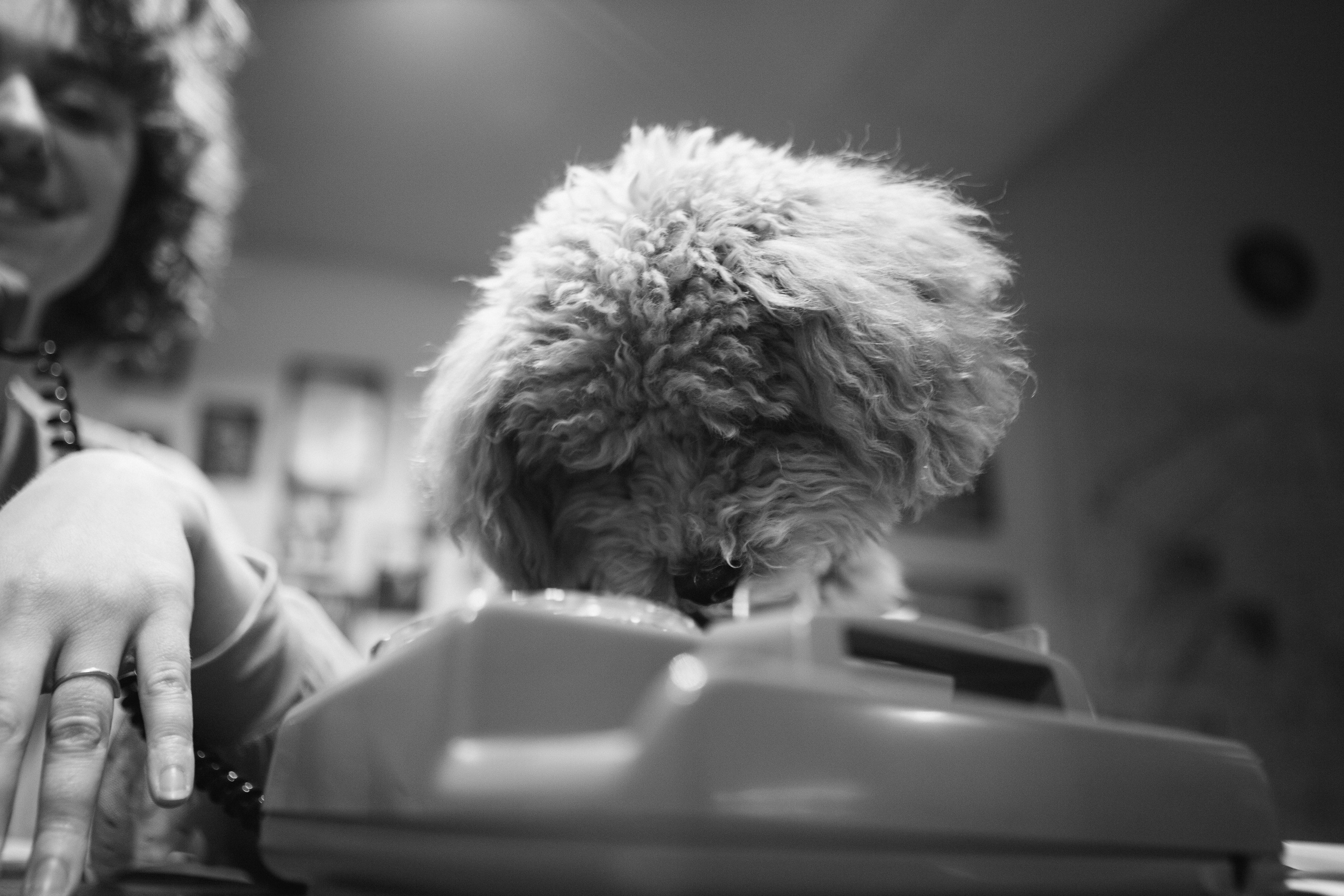 A cinematic daydream in the spirit of Wes Anderson’s style. Portrait, family and pet photographer in Cyprus, Ksenia Bourdelle